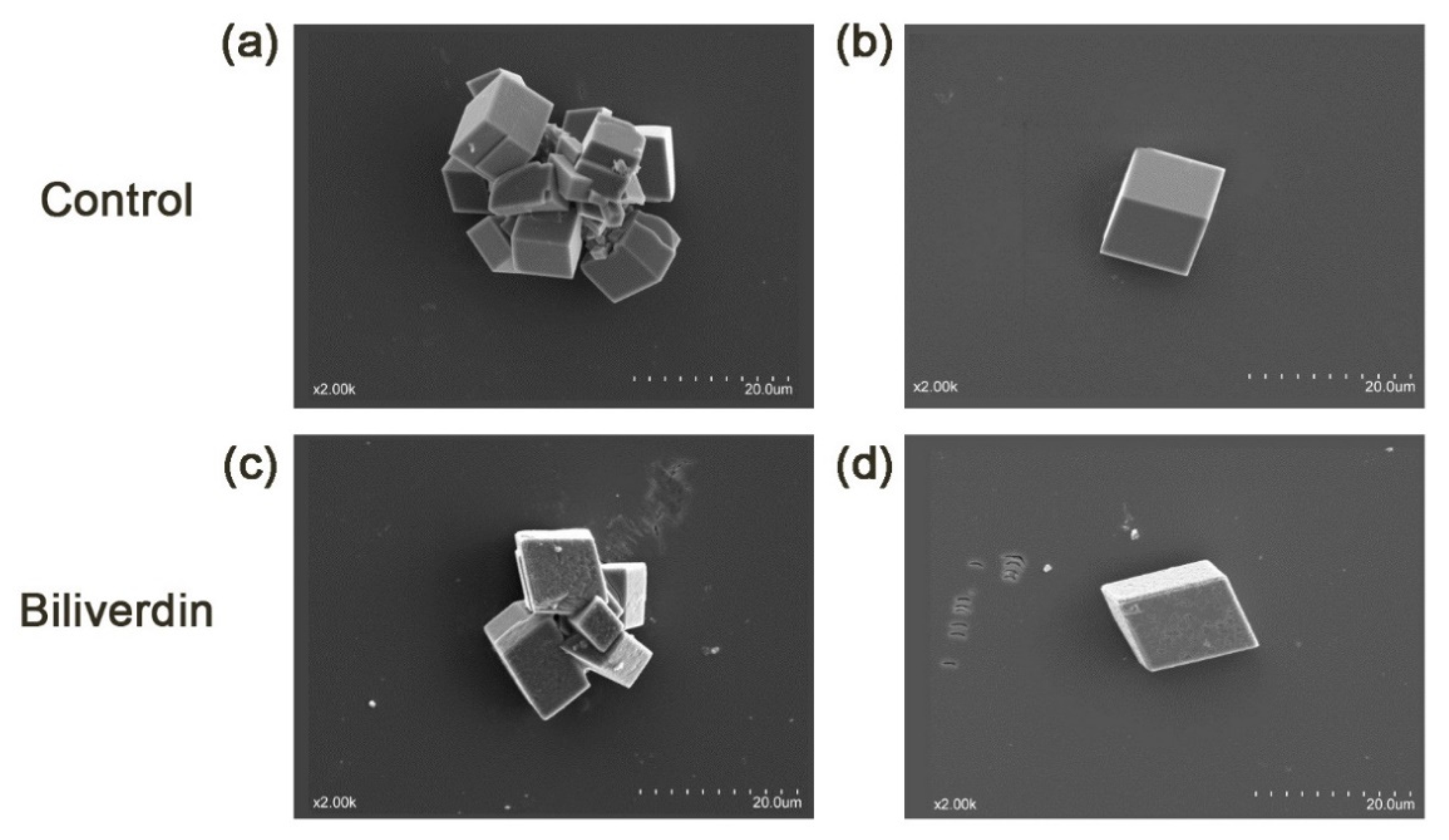 Metabolites 11 00575 g005