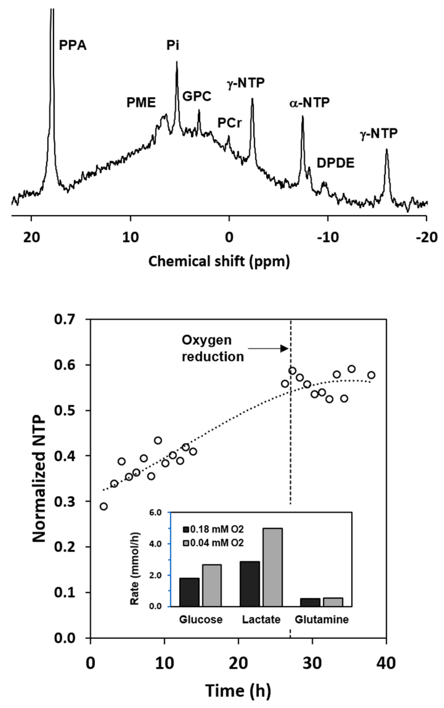 Metabolites 11 00576 g004 Metabolites 11 00576 g004
