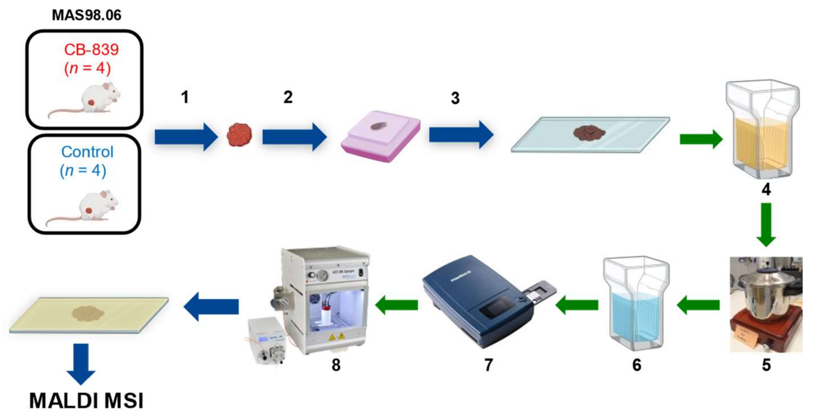 Metabolites 11 00577 g004 550