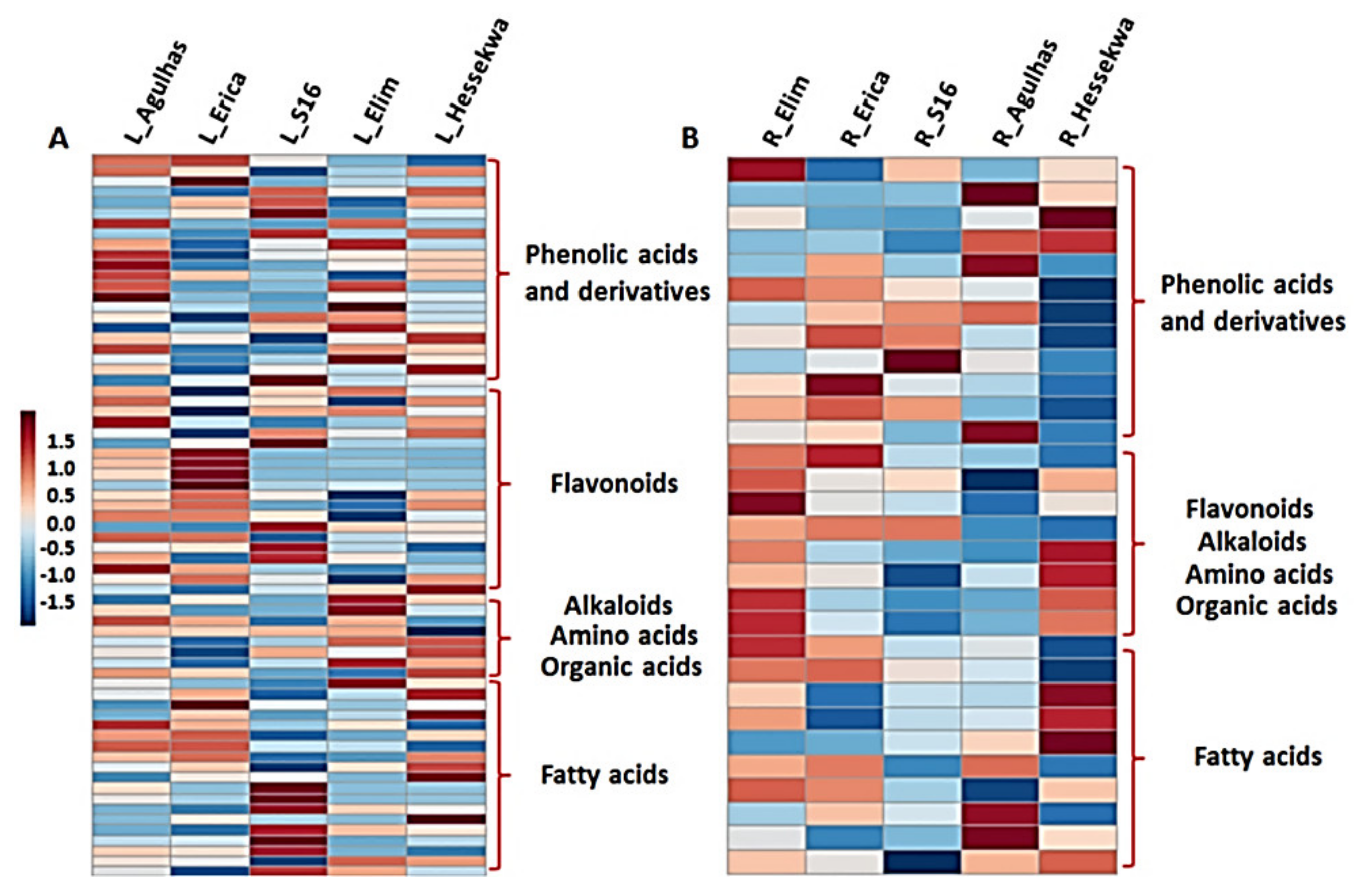 Metabolites 11 00578 g004 Metabolites 11 00578 g004