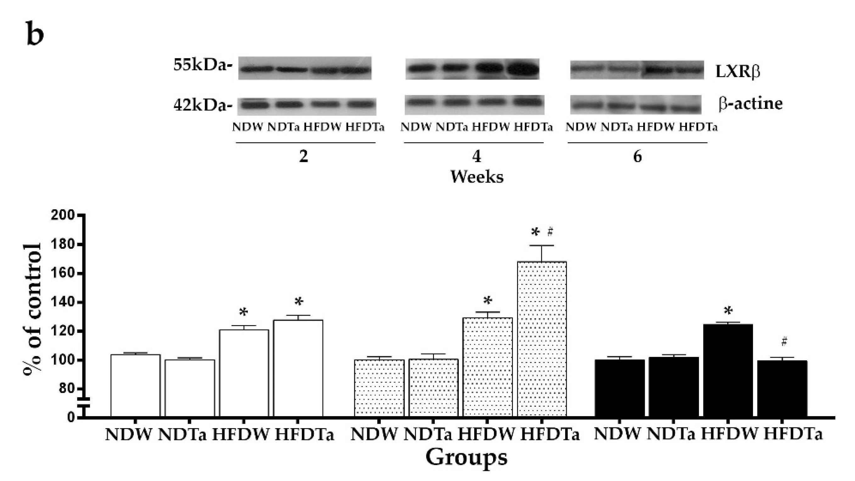 Metabolites 11 00579 g003b