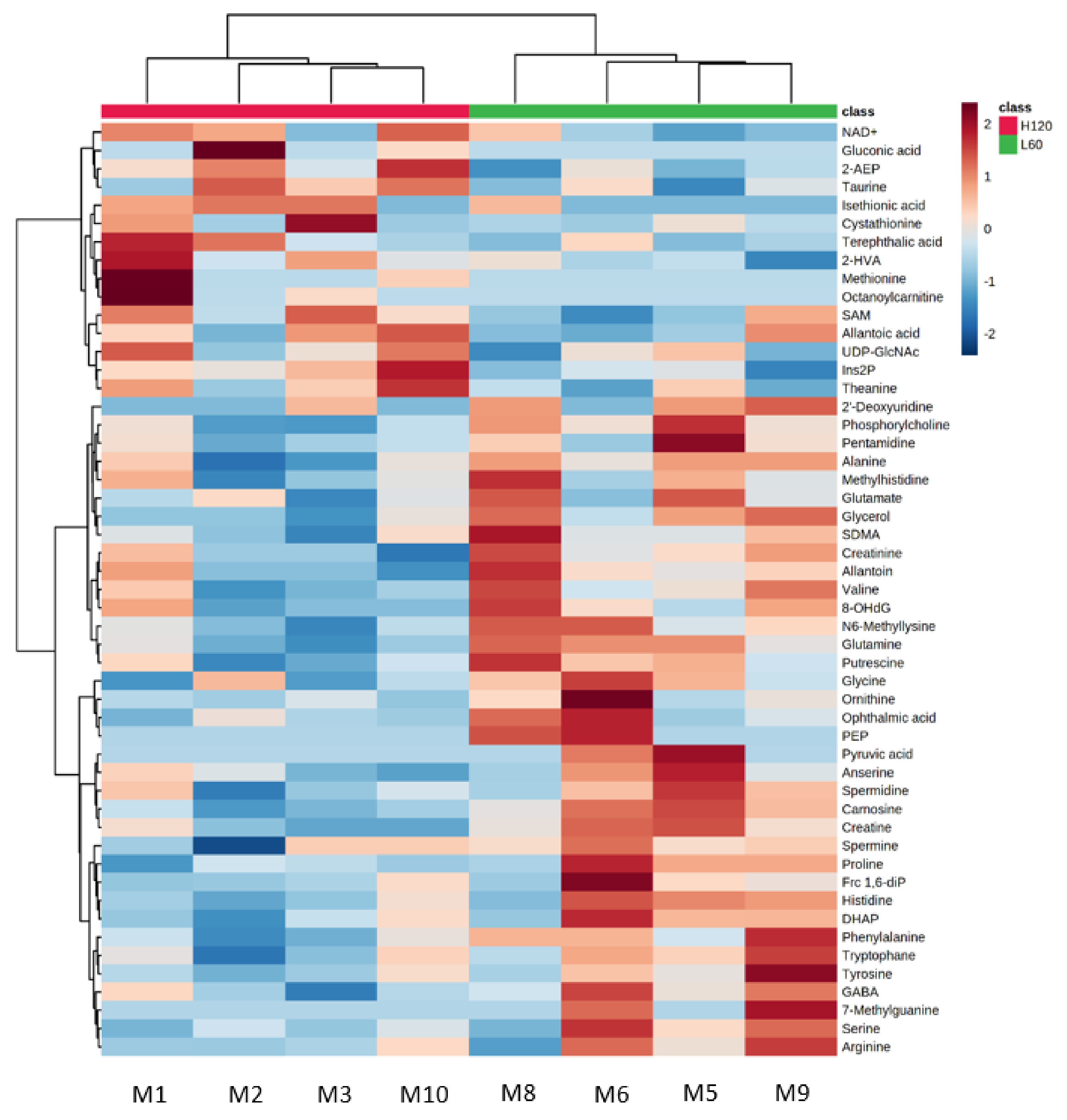 Metabolites 11 00582 g001