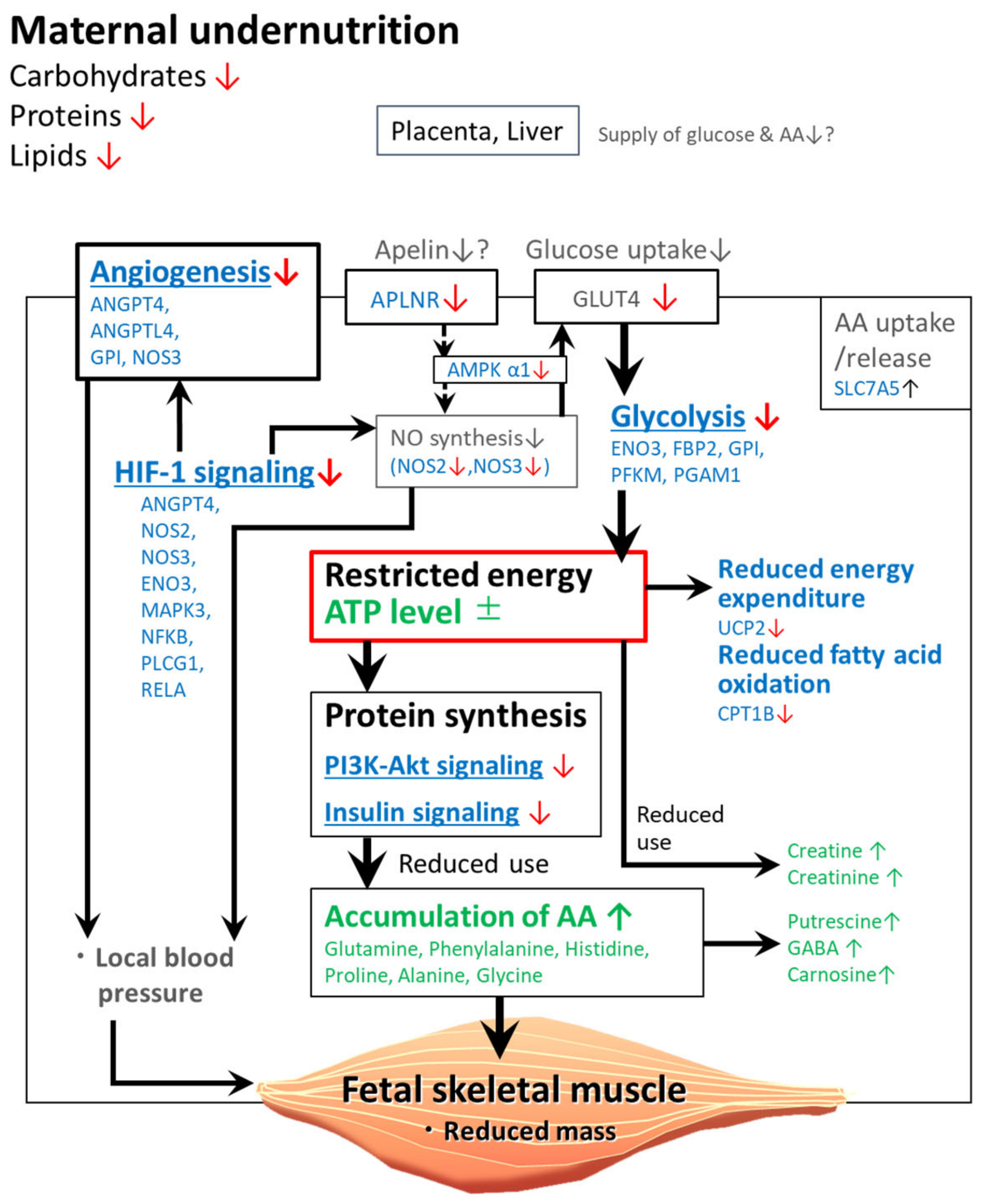 Metabolites 11 00582 g004