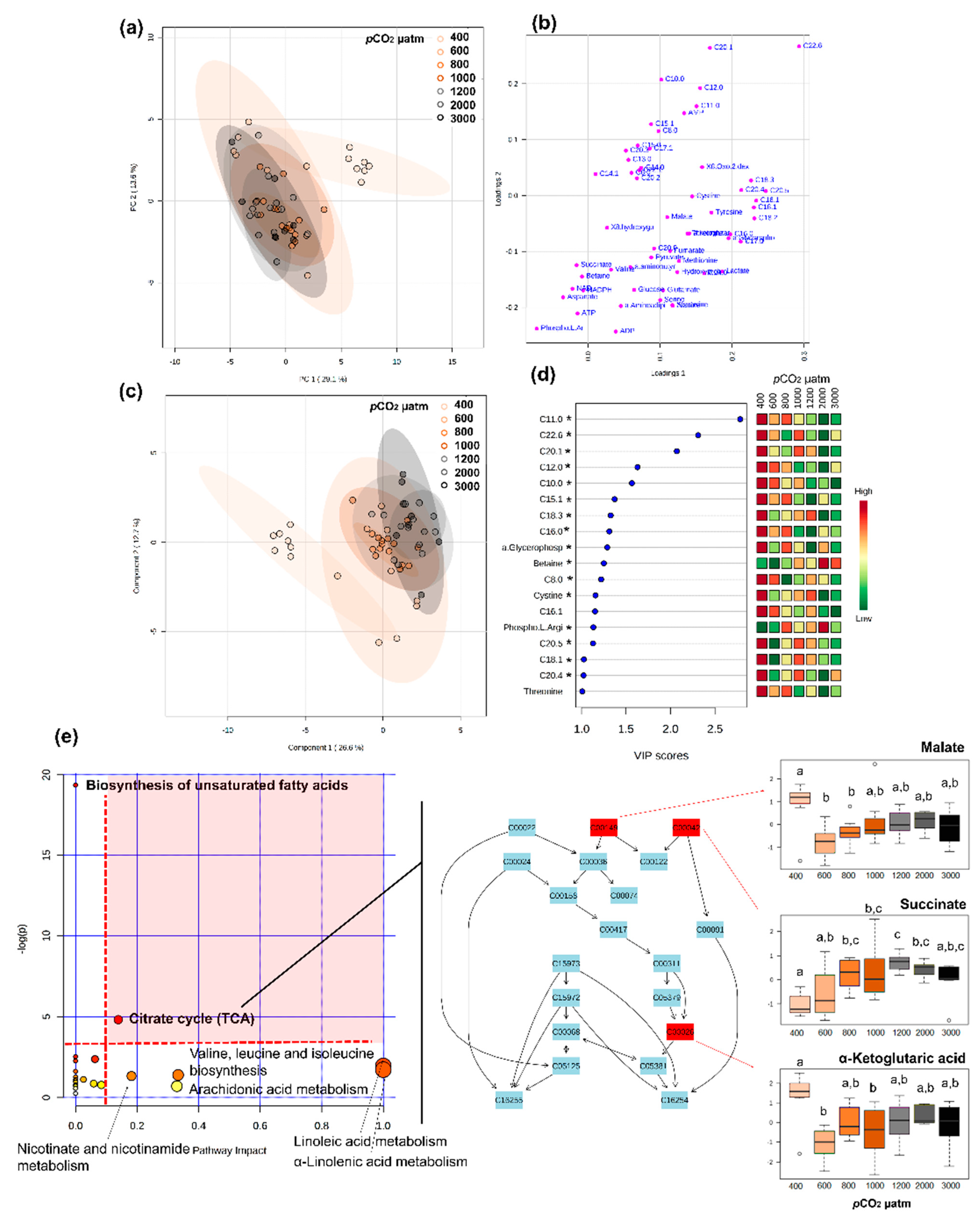 Metabolites 11 00584 g008
