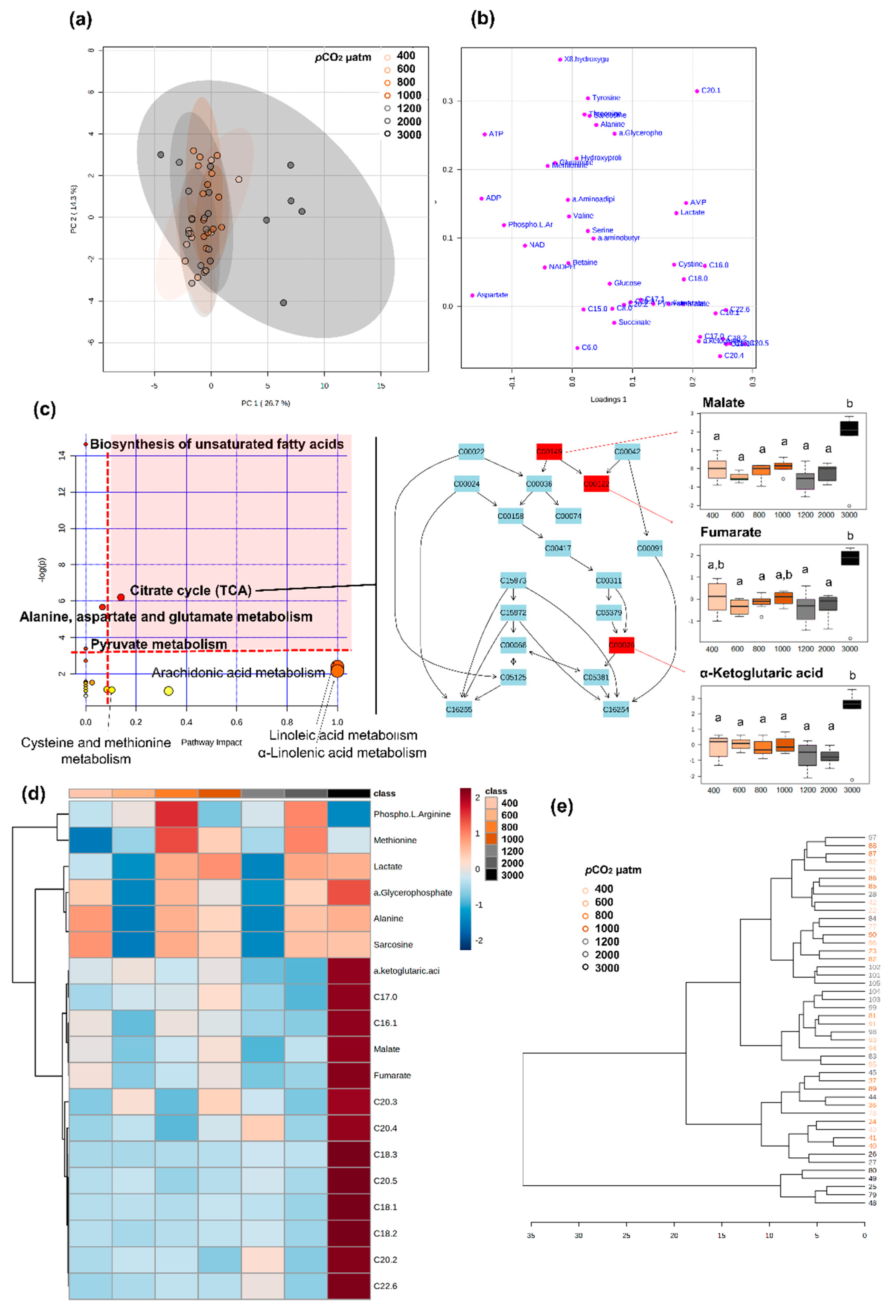 Metabolites 11 00584 g009