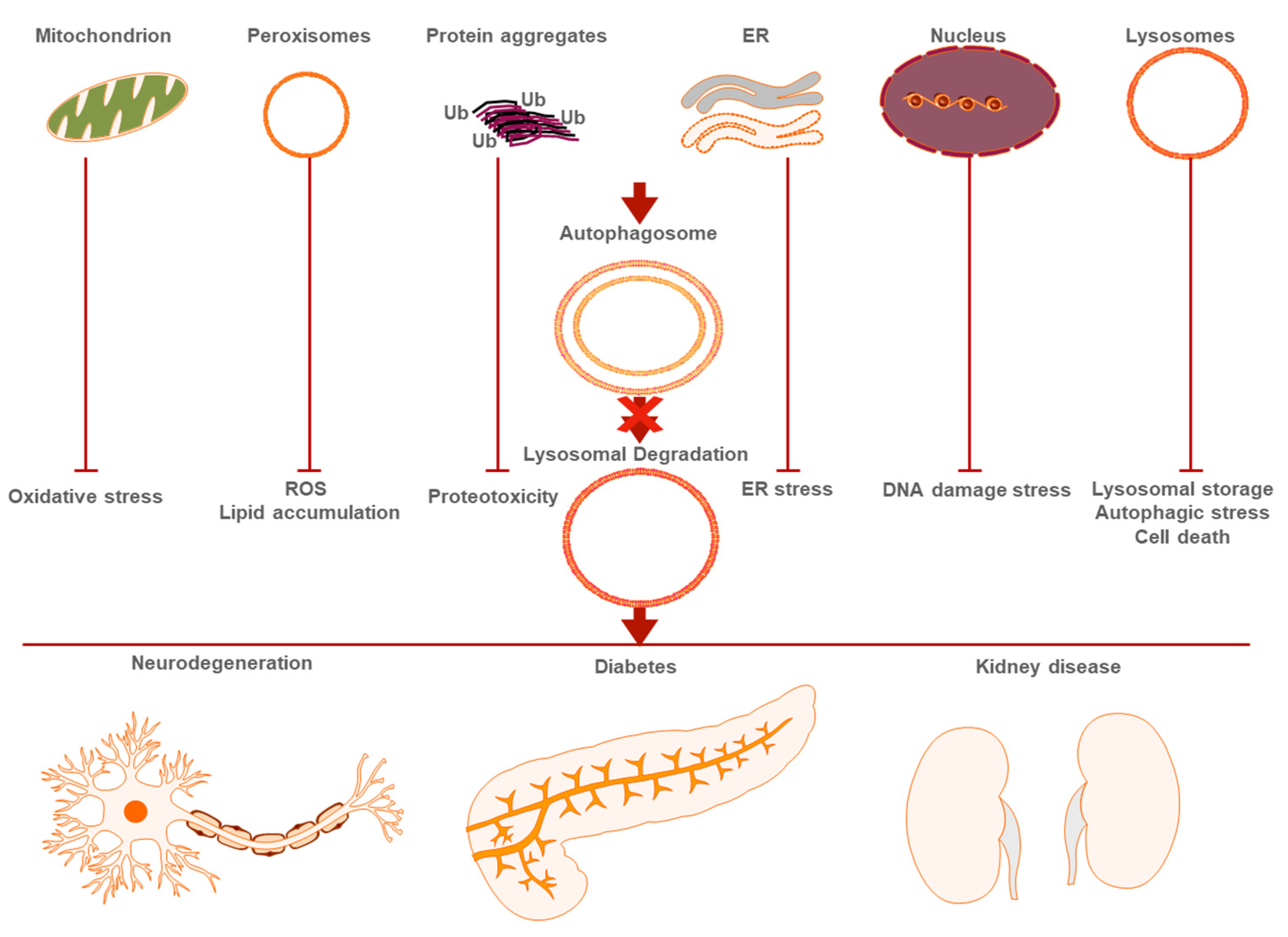 Metabolites 11 00588 g001