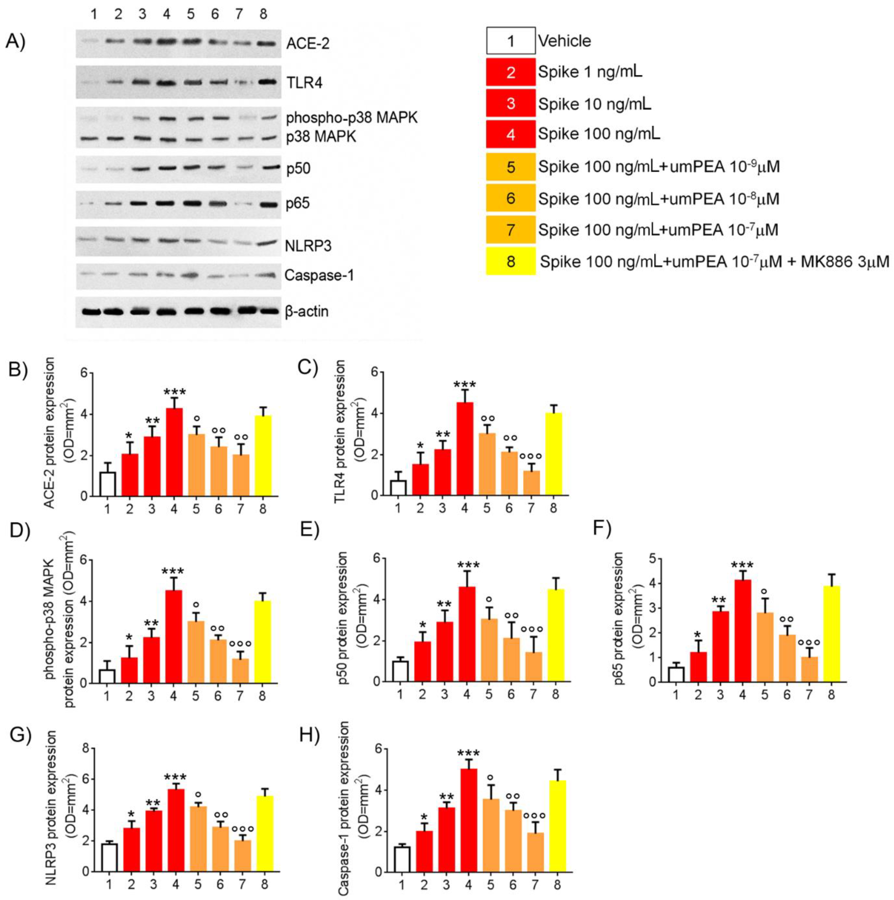 Metabolites 11 00592 g001