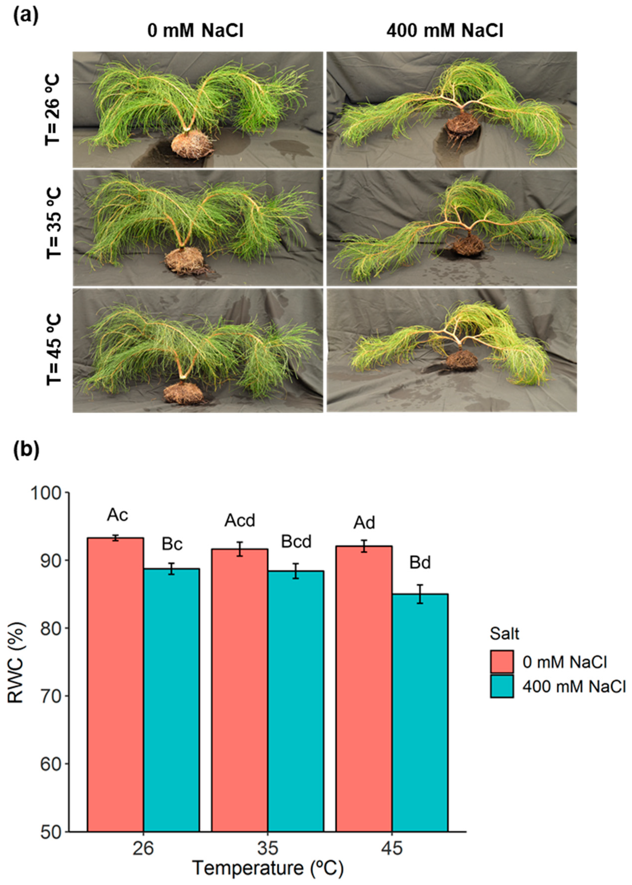 Metabolites 11 00593 g001 550