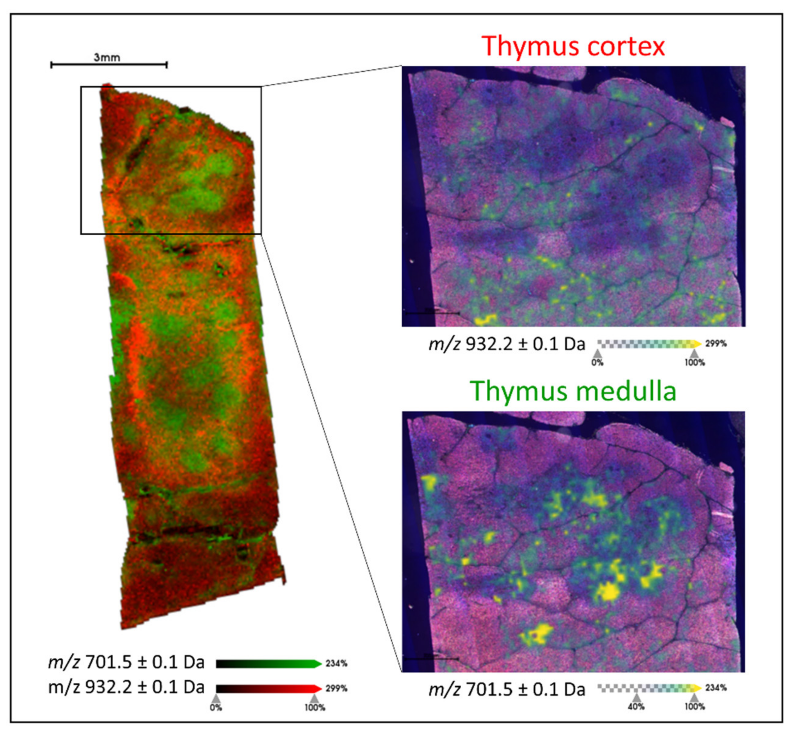 Metabolites 11 00599 g001