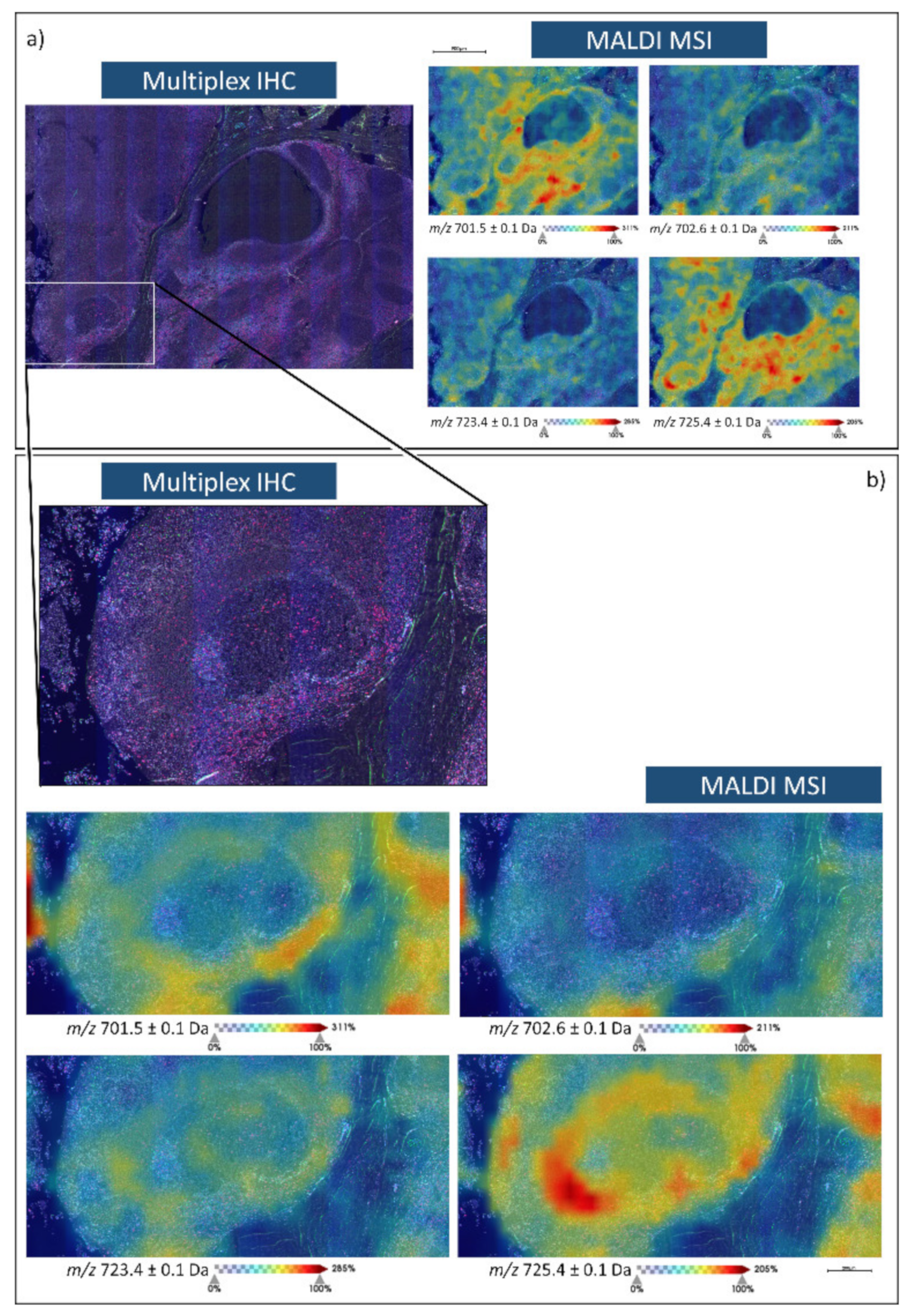 Metabolites 11 00599 g002