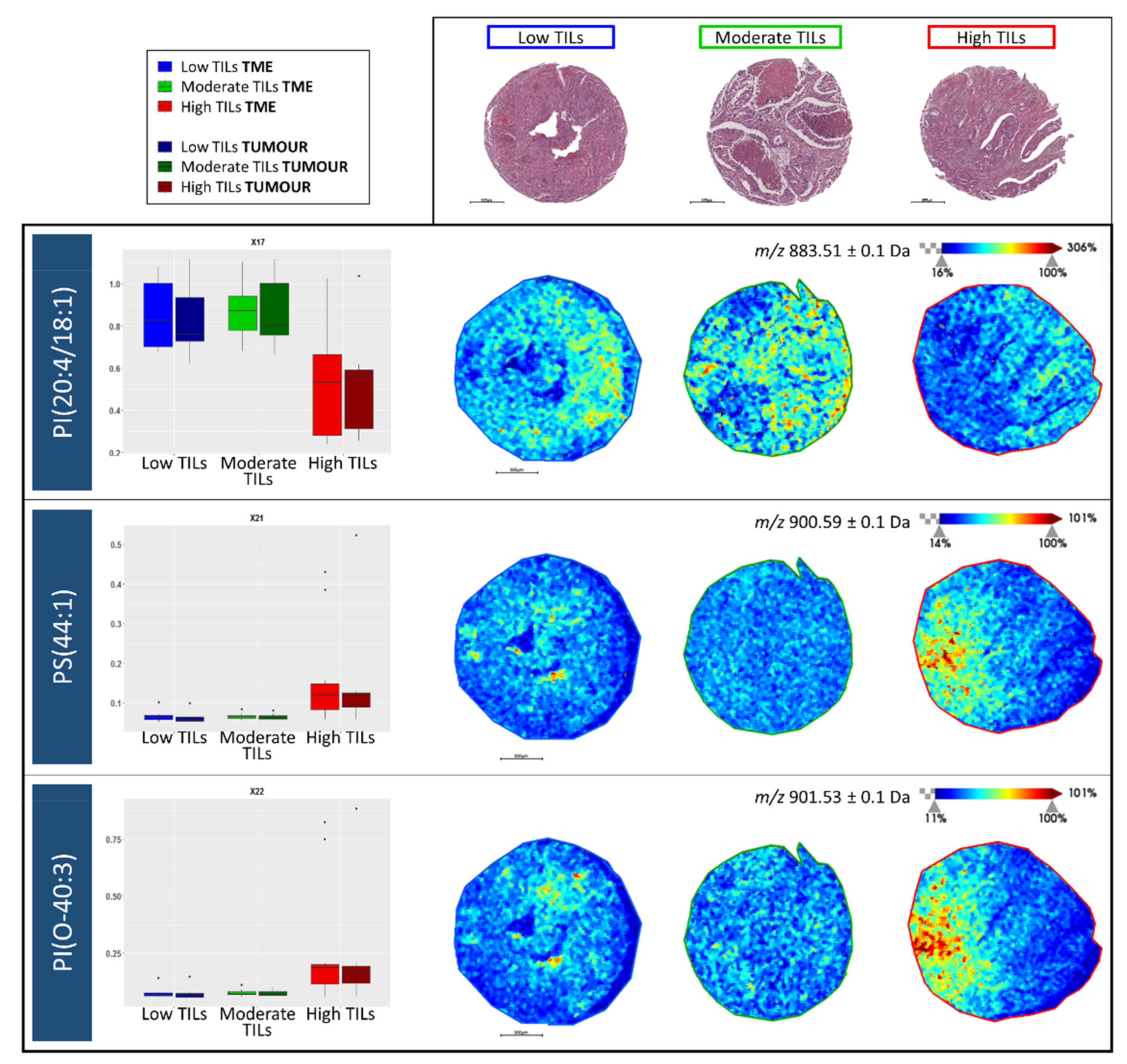 Metabolites 11 00599 g004