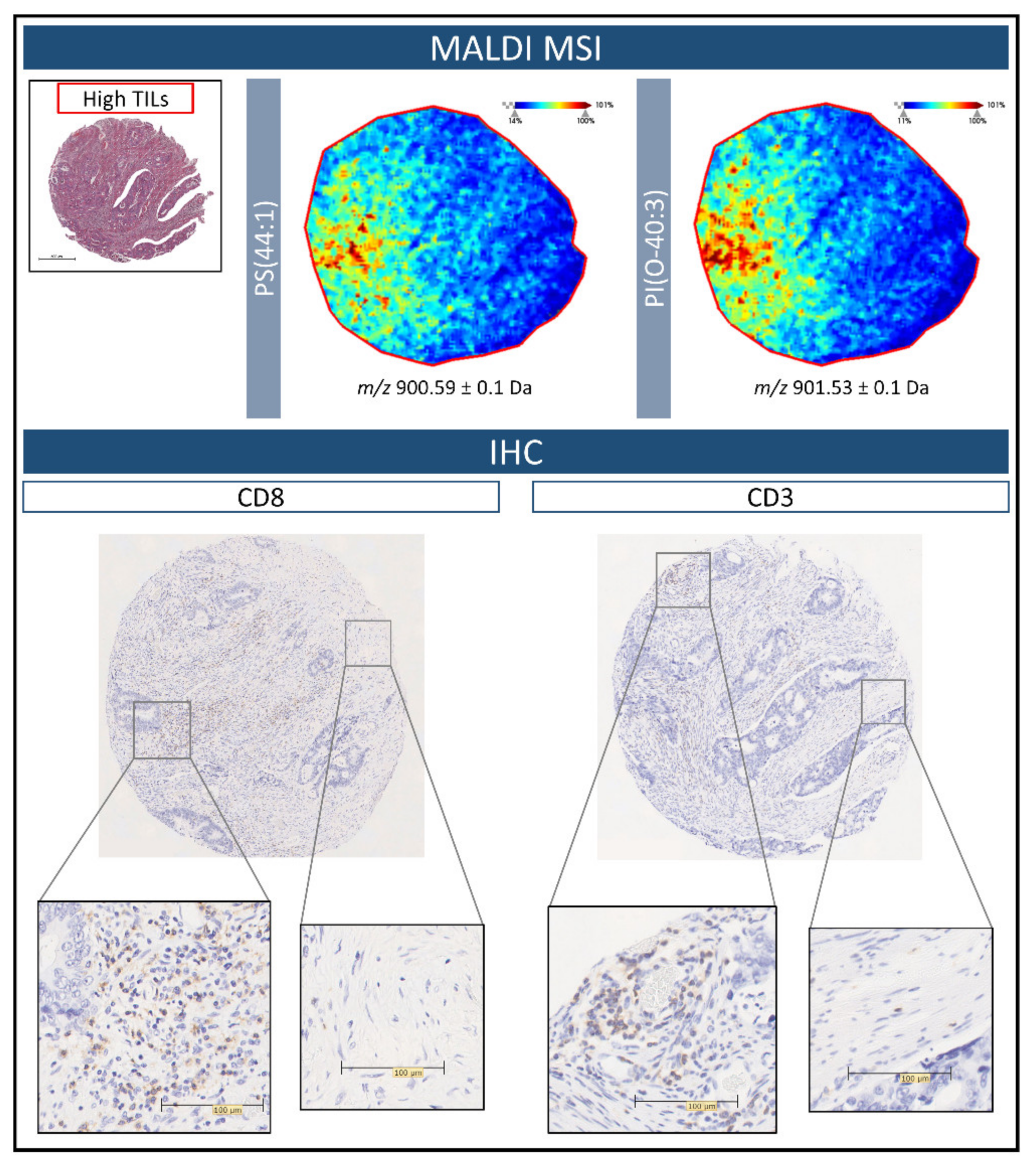 Metabolites 11 00599 g005