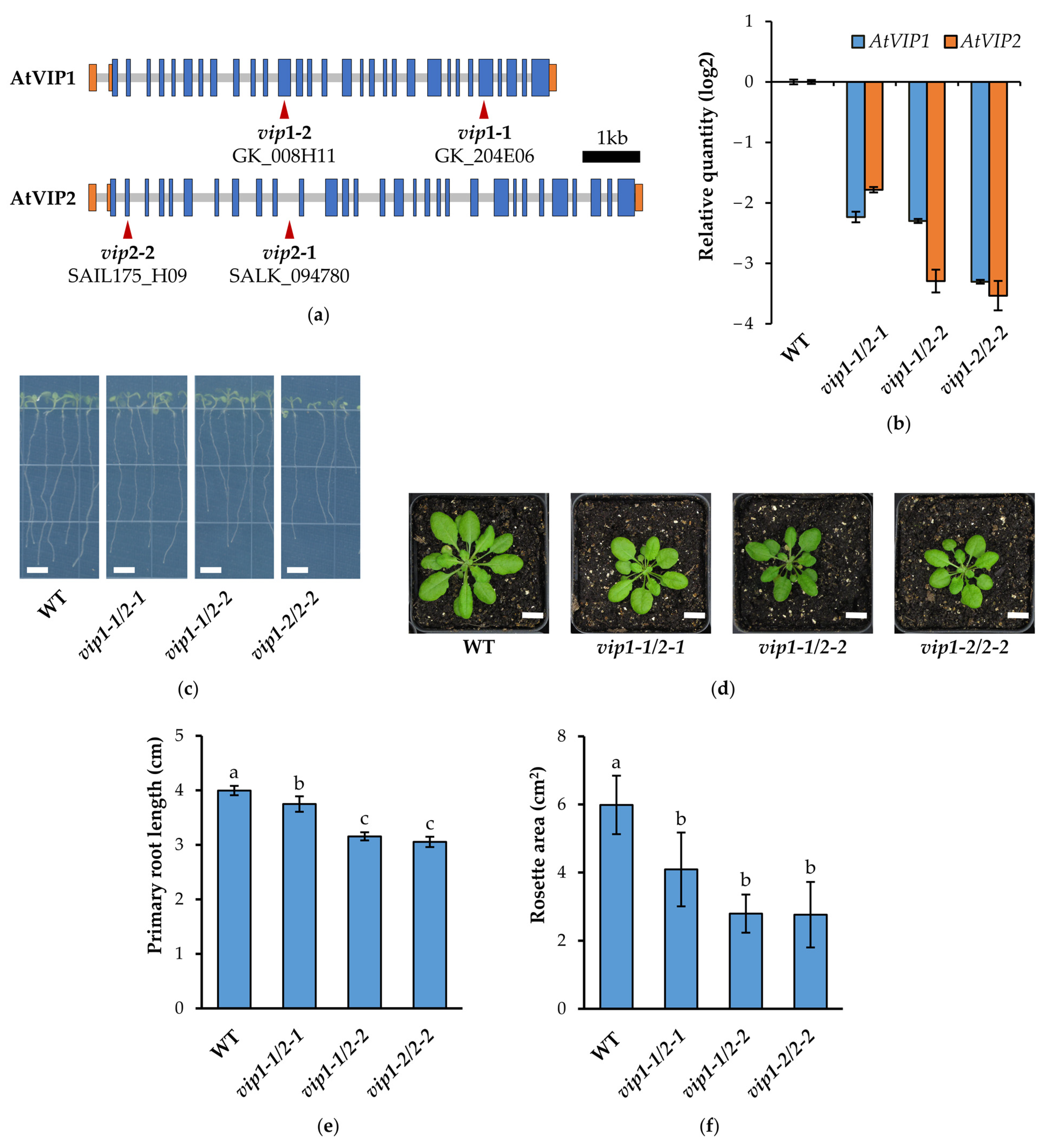 Metabolites 11 00601 g001 550