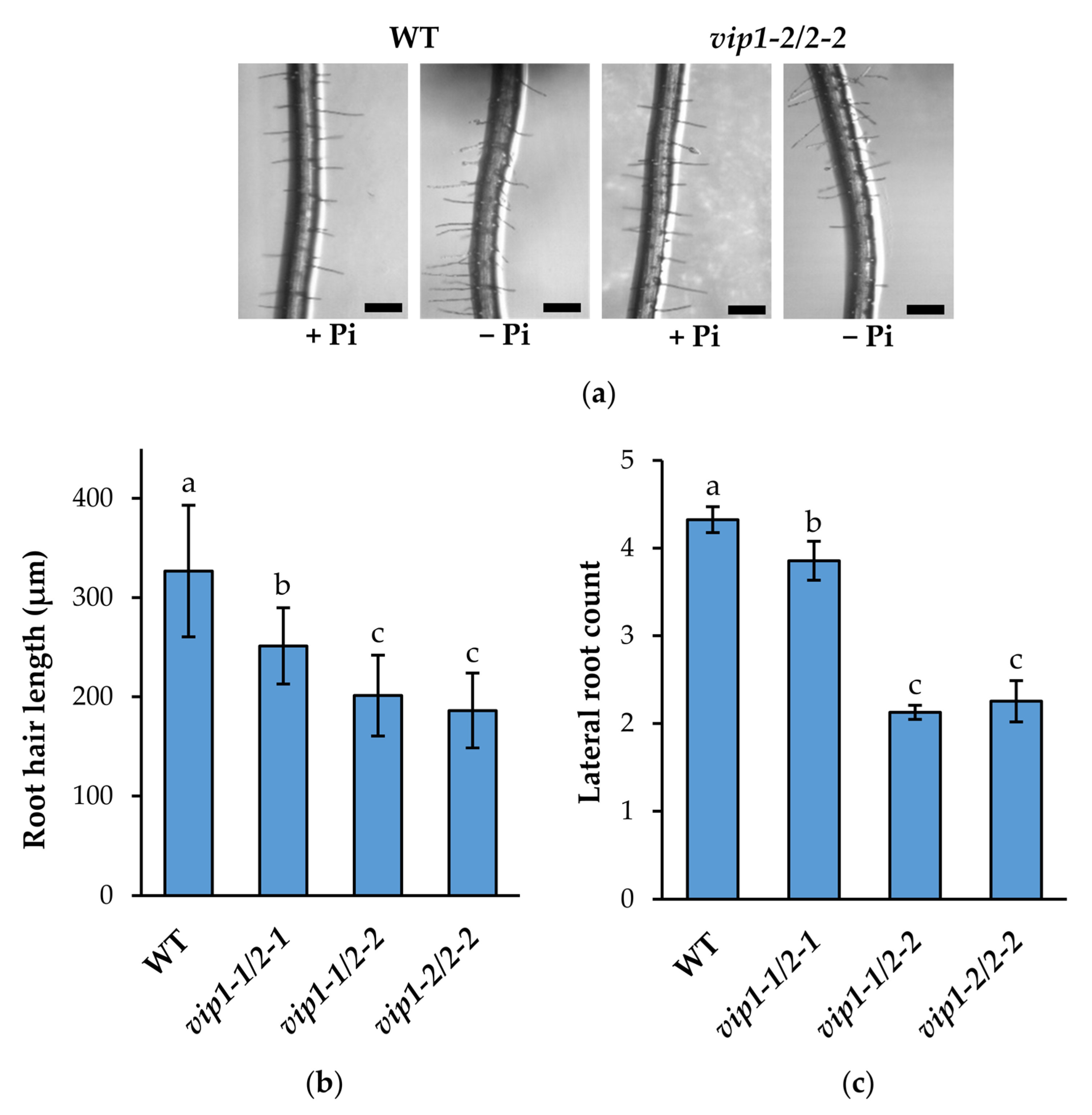 Metabolites 11 00601 g004 550