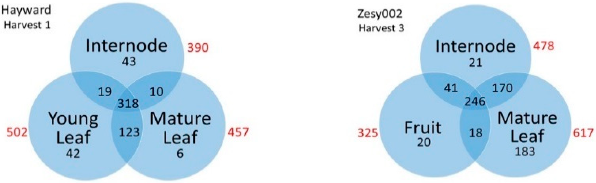 Metabolites 11 00603 g001