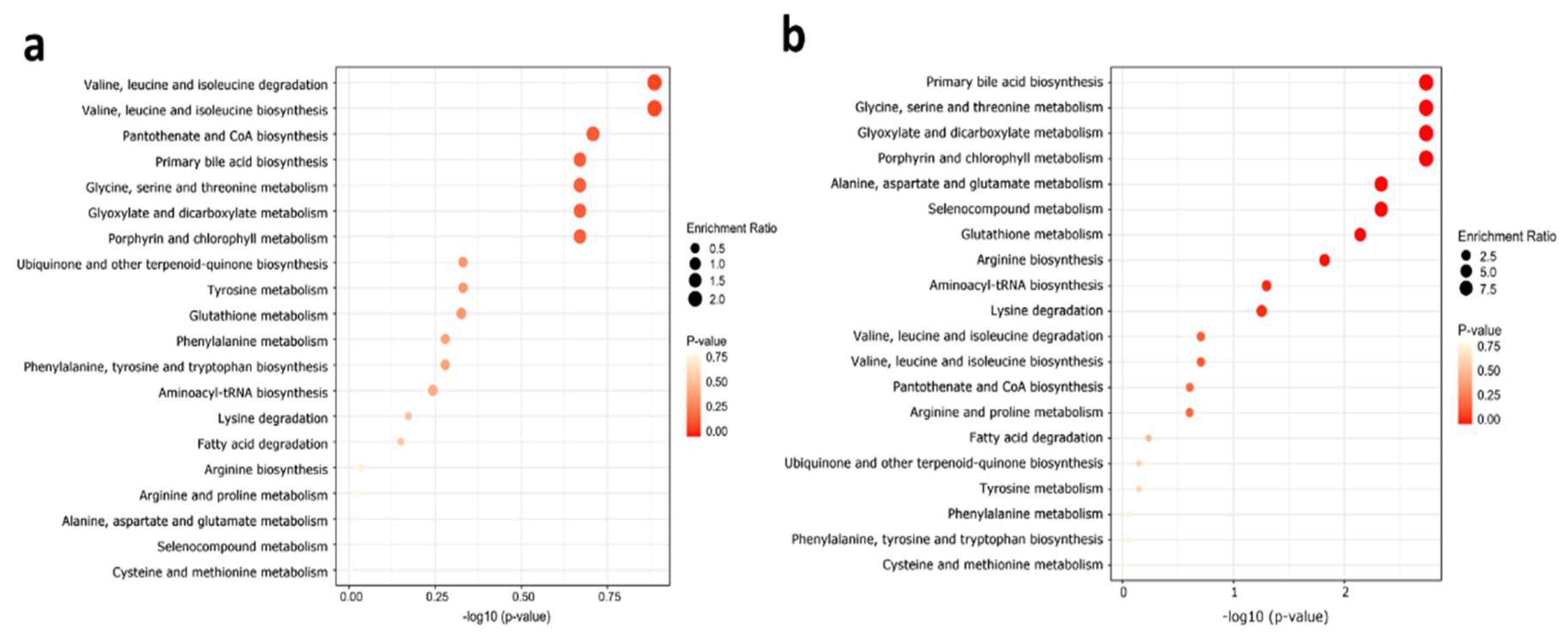Metabolites 11 00604 g004 550