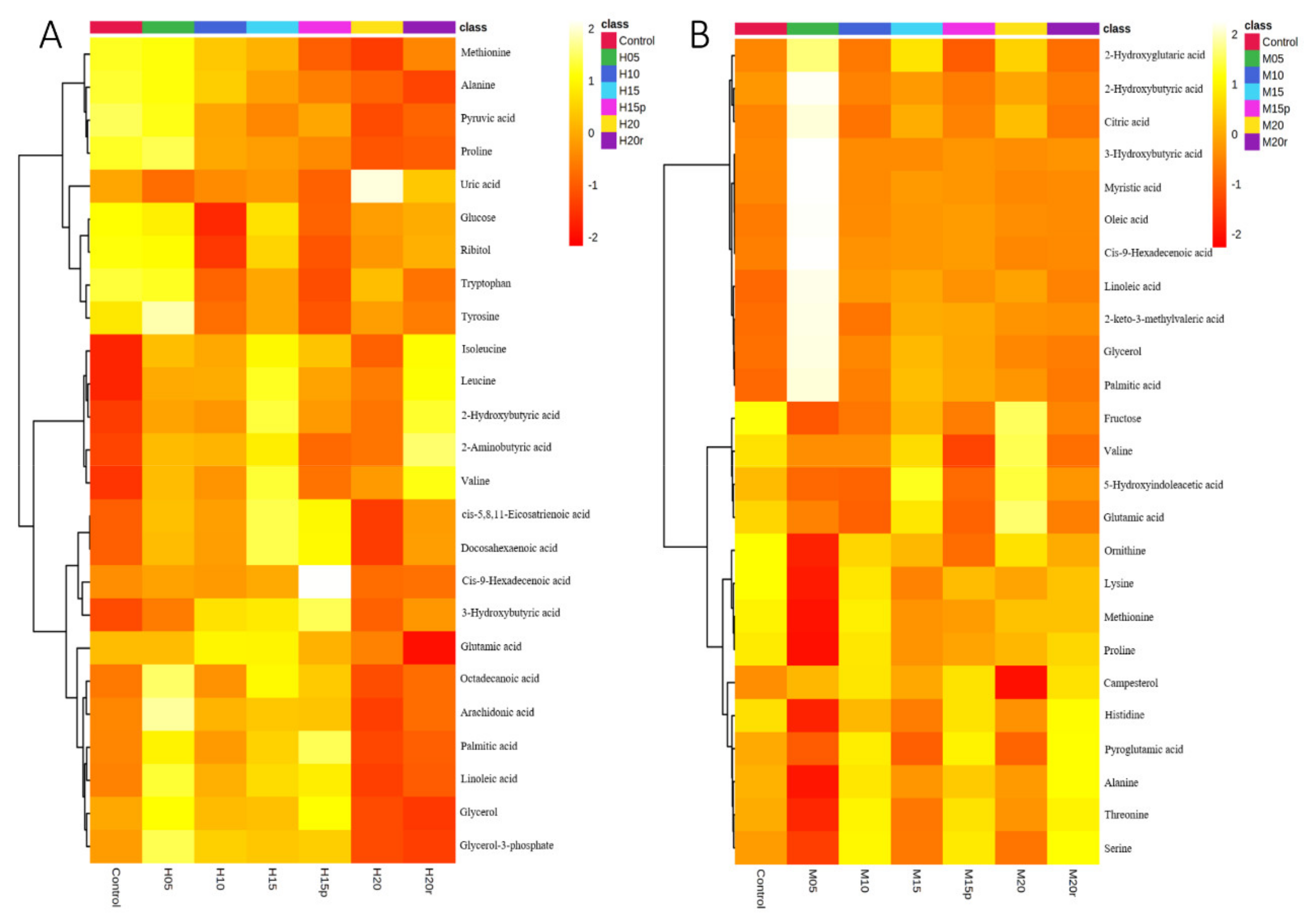 Metabolites 11 00607 g002