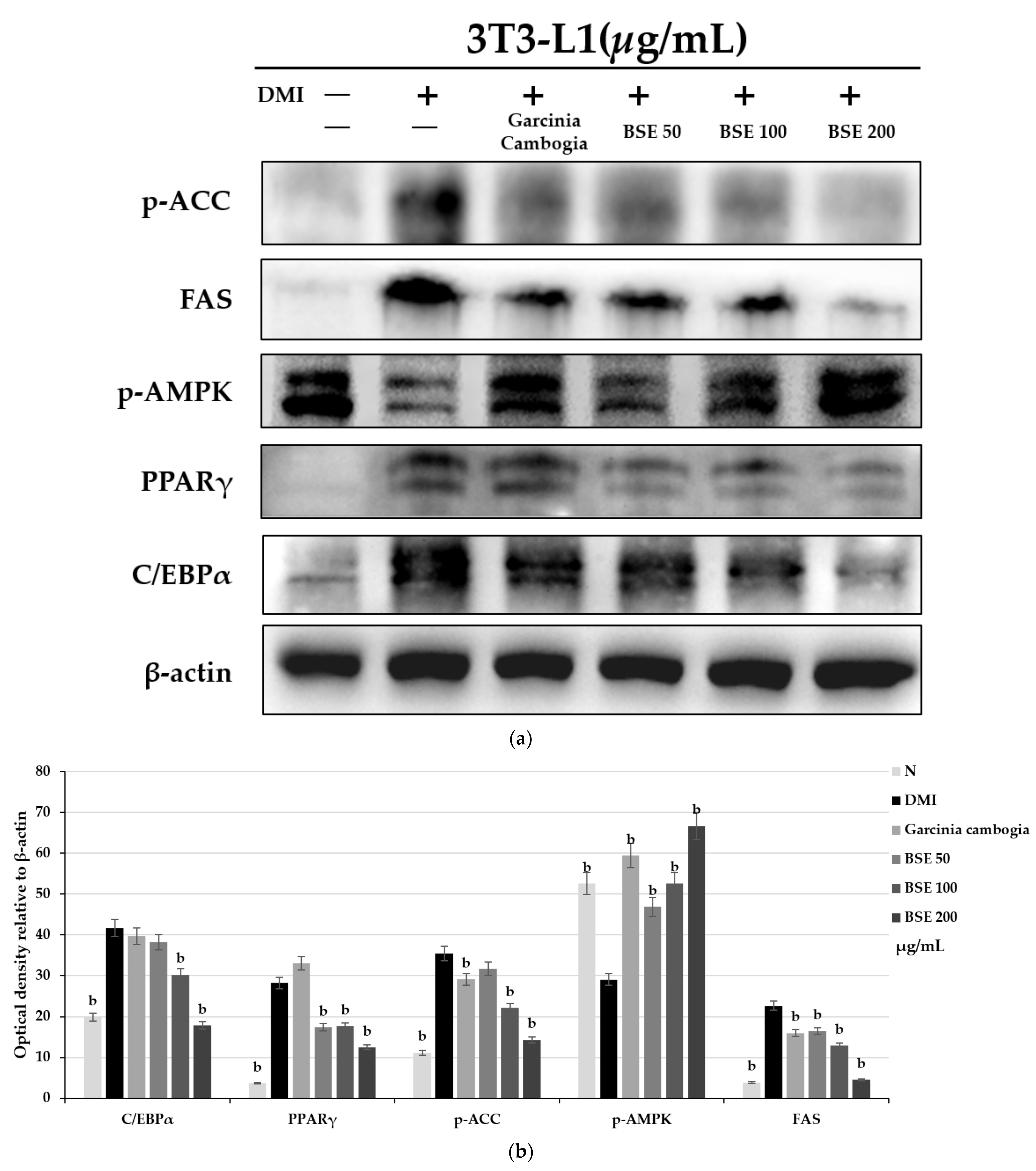 Metabolites 11 00610 g003