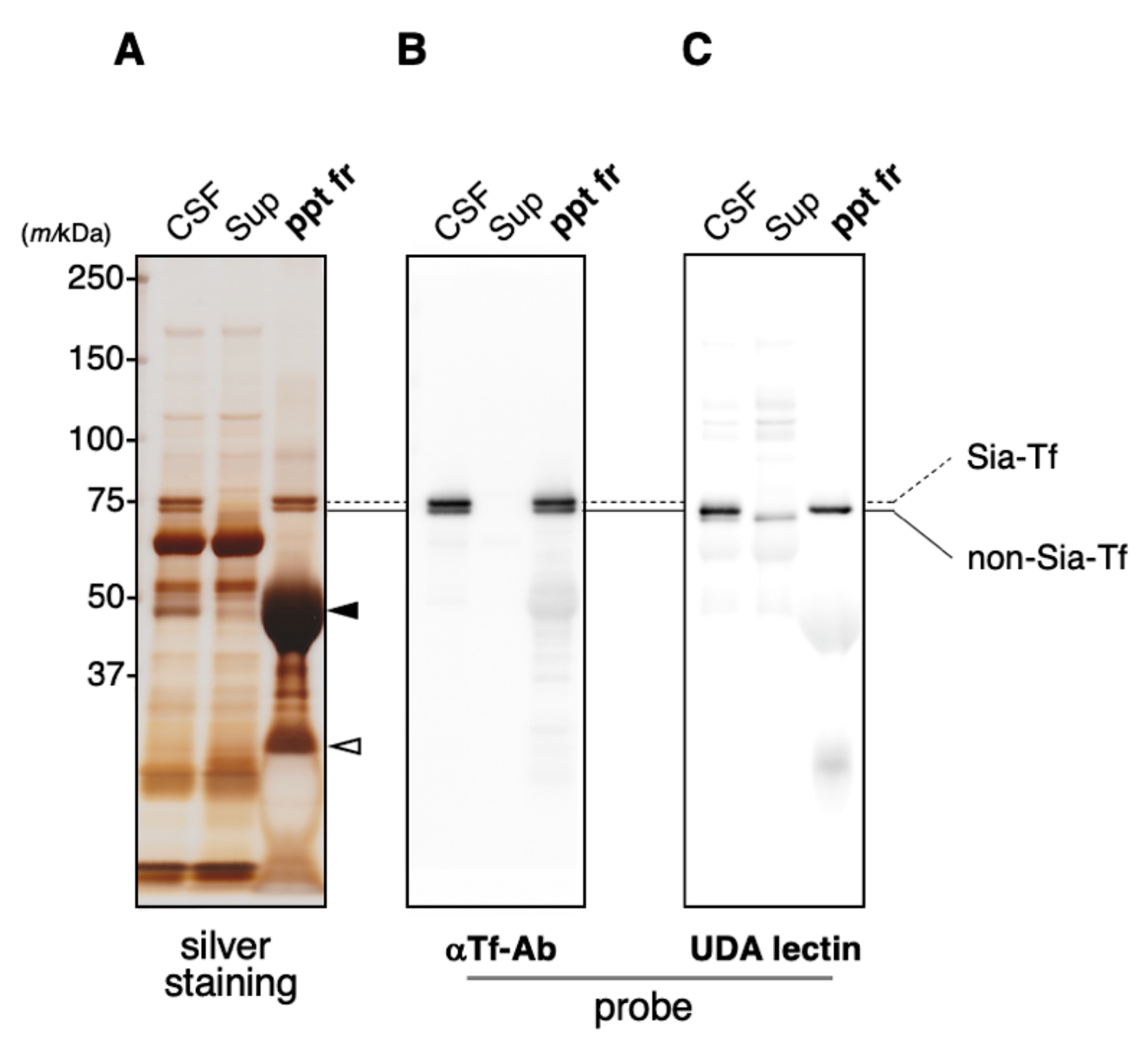 Metabolites 11 00616 g002