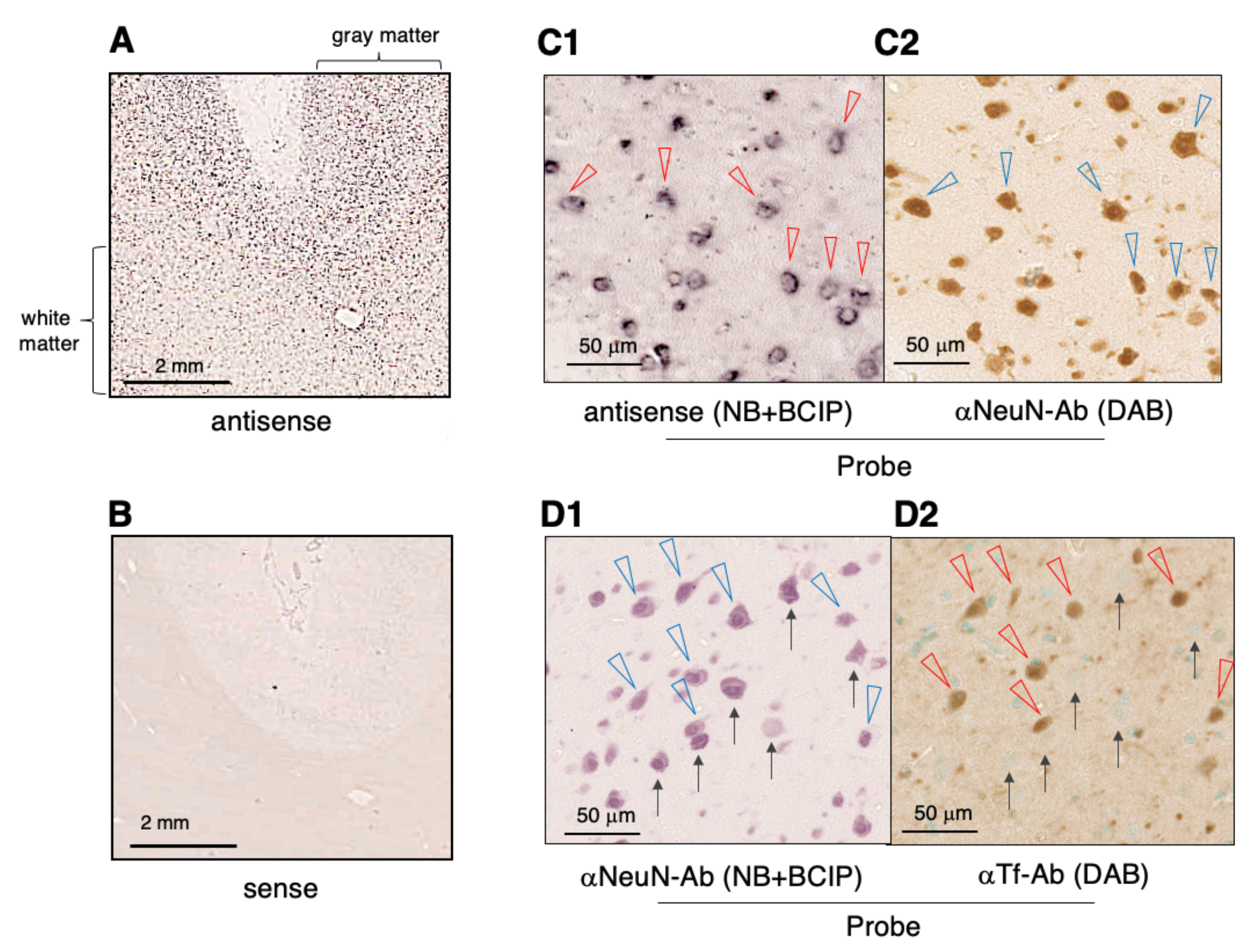Metabolites 11 00616 g004