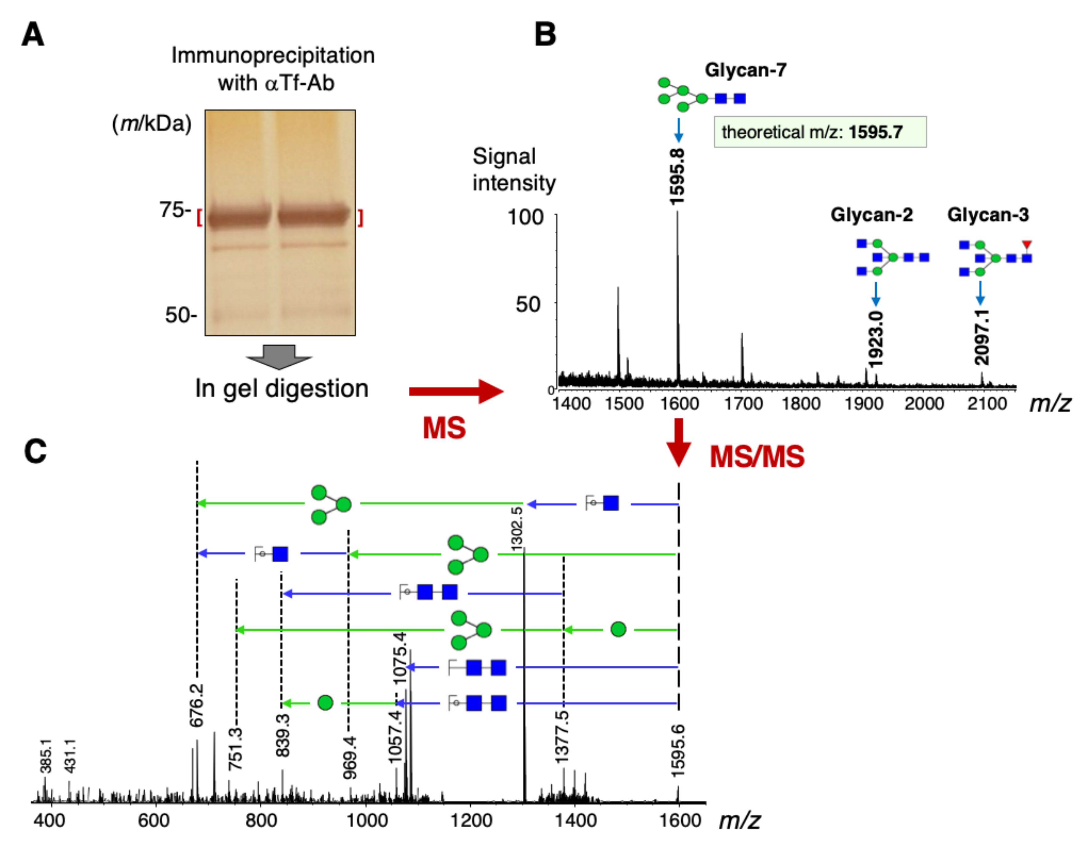 Metabolites 11 00616 g005