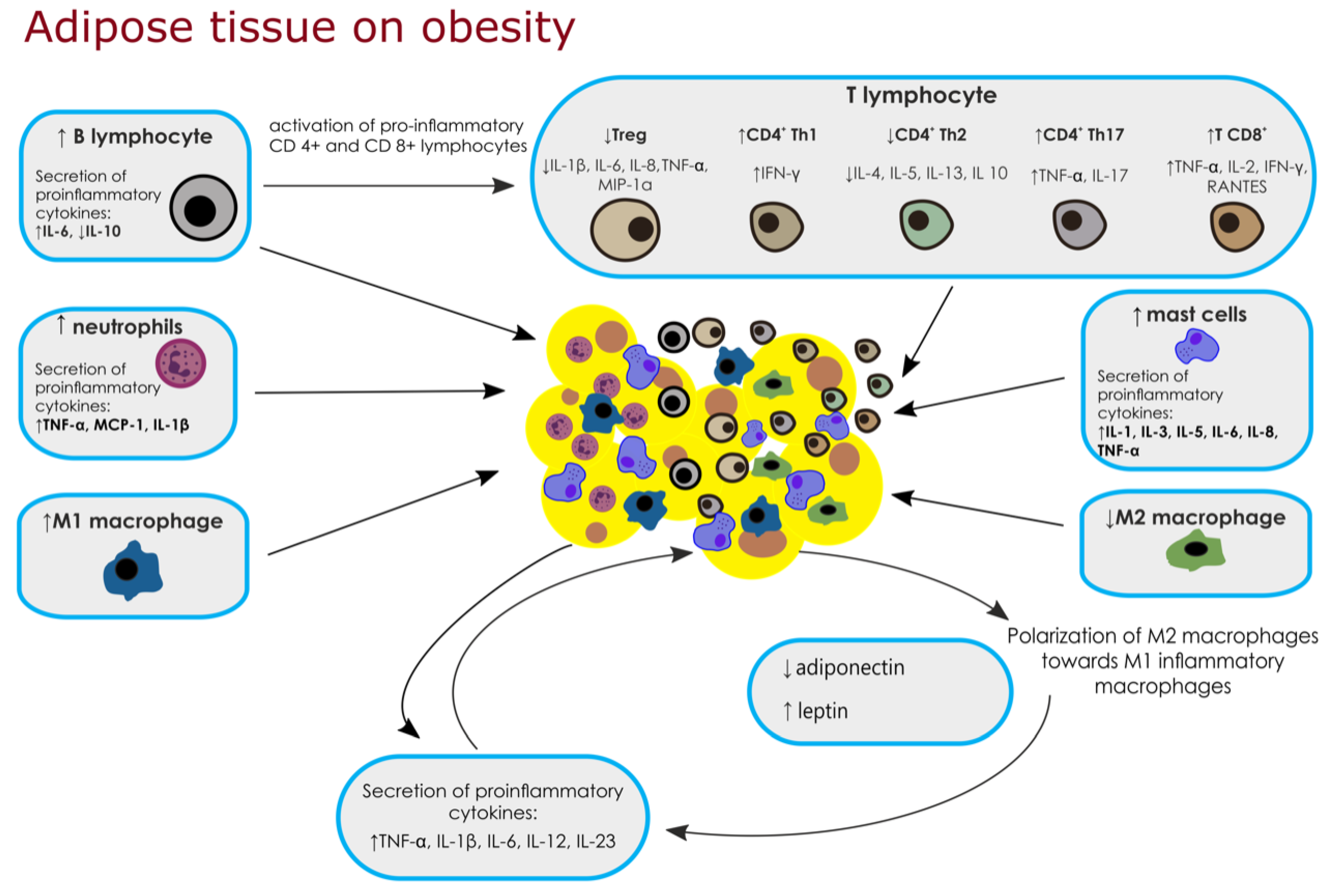 Metabolites 11 00617 g001 Metabolites 11 00617 g001