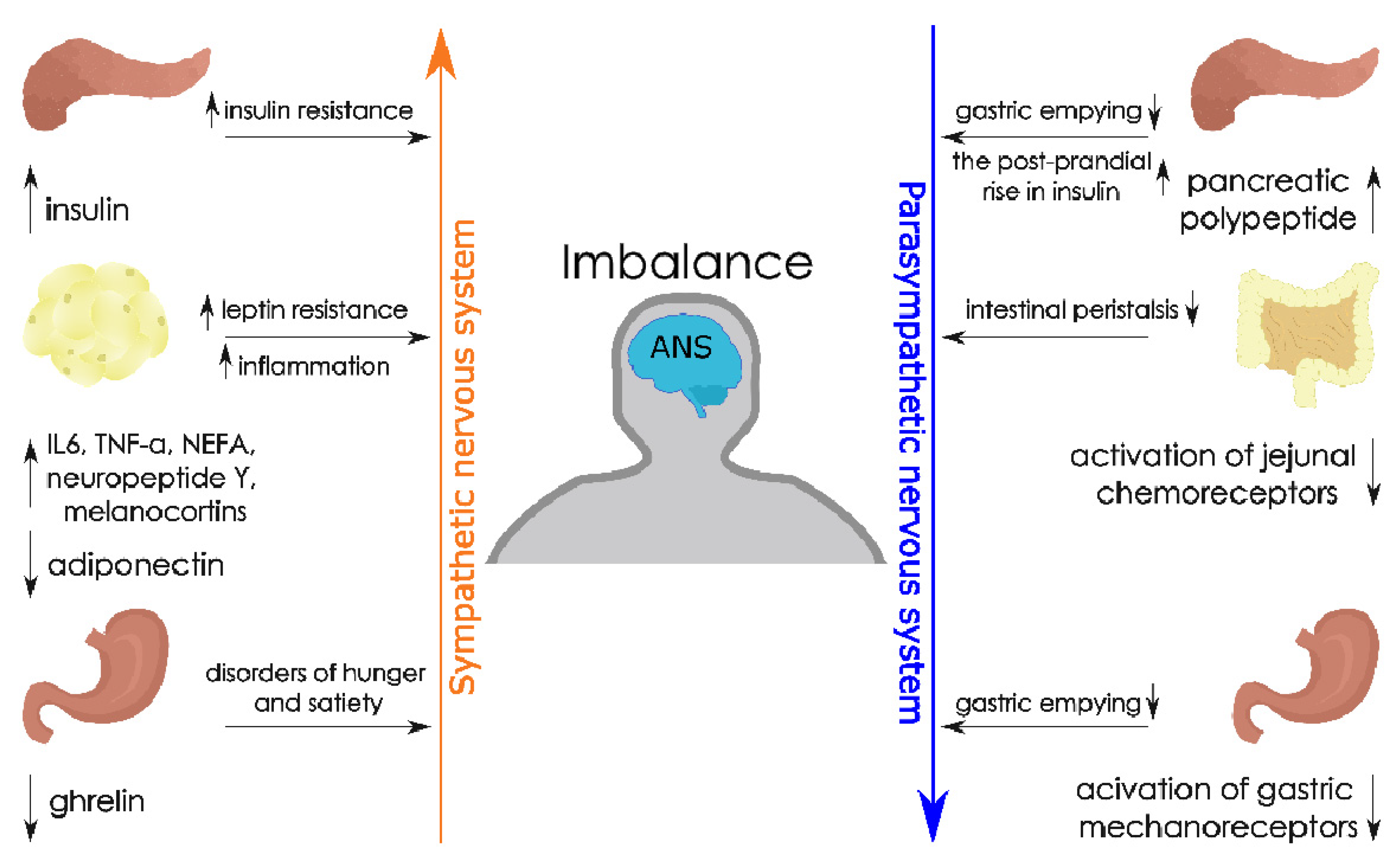 Metabolites 11 00617 g002 Metabolites 11 00617 g002