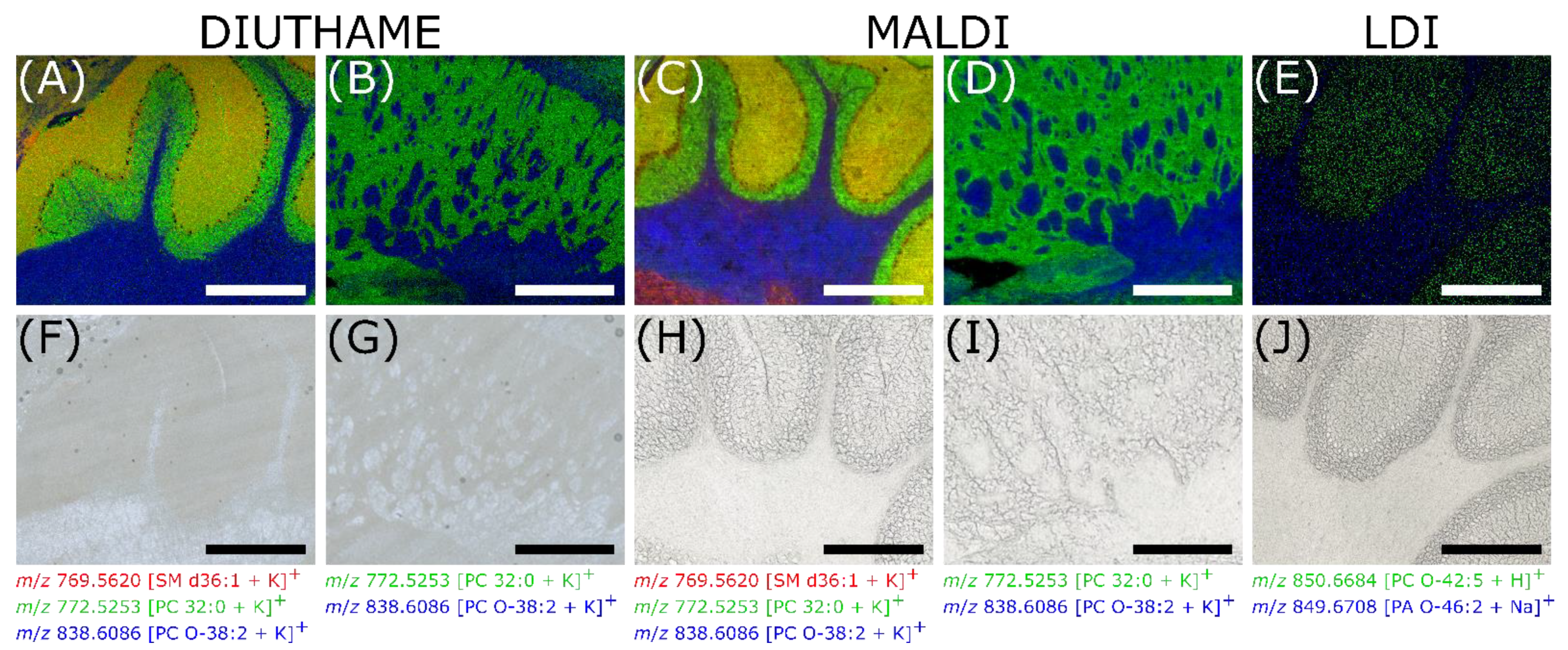 Metabolites 11 00624 g004