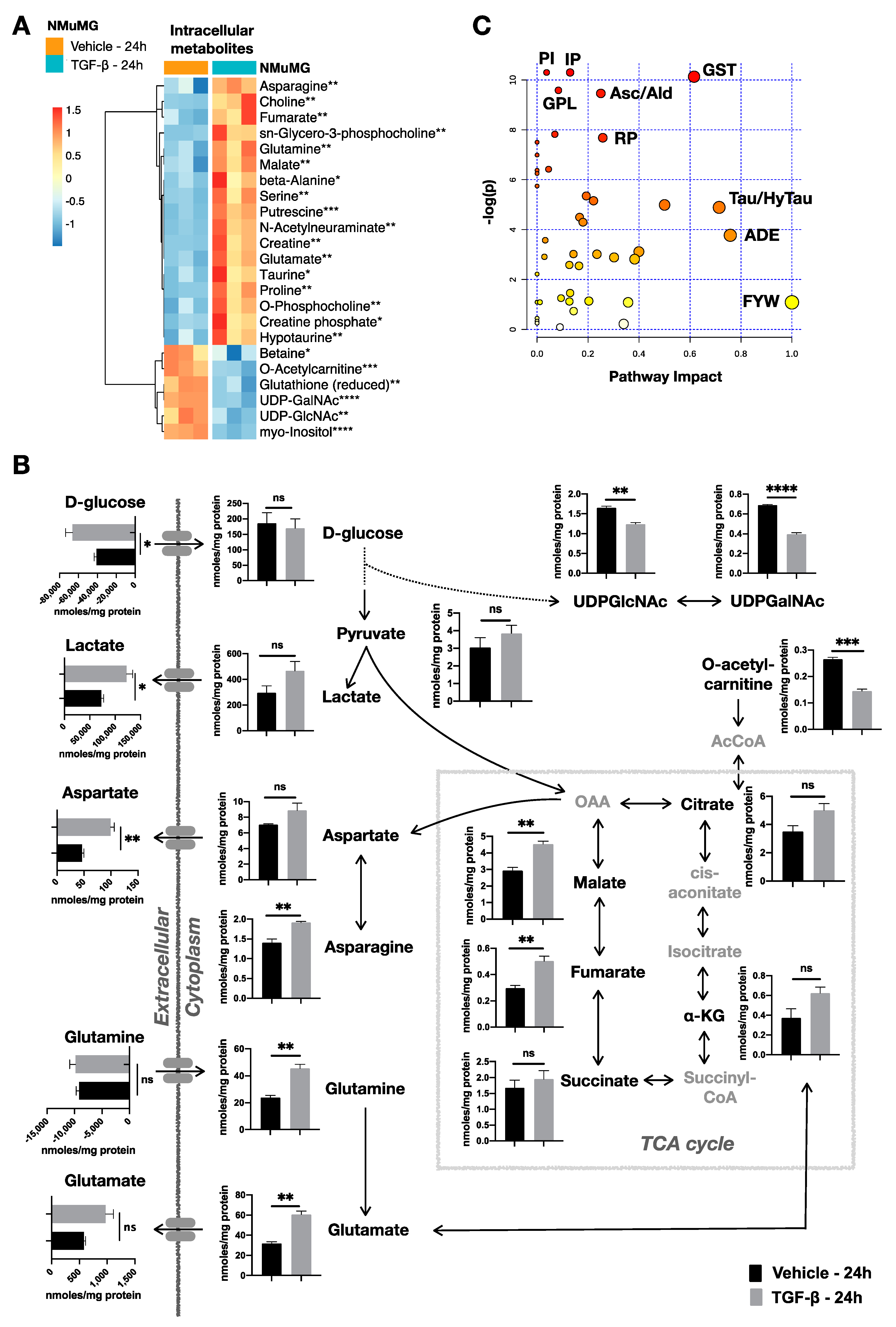 Metabolites 11 00626 g002