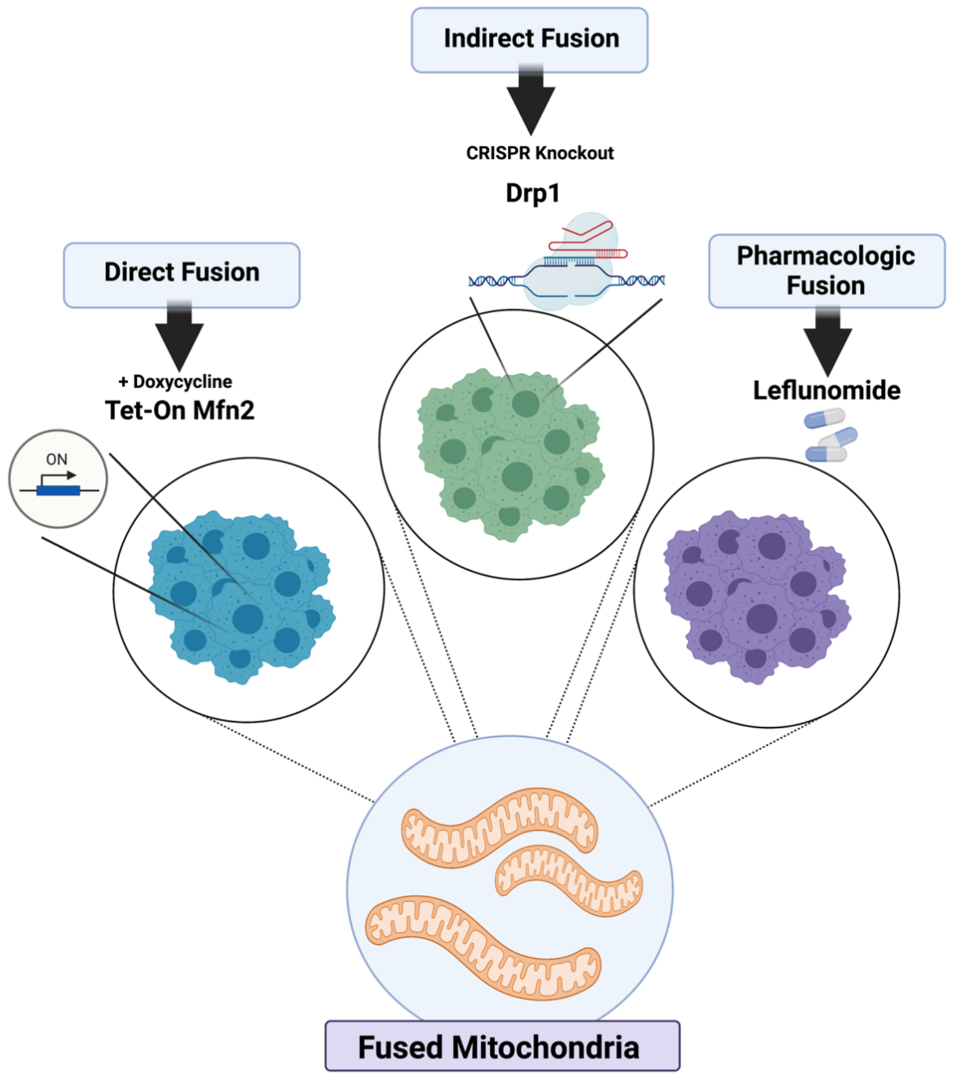 Metabolites 11 00627 g001