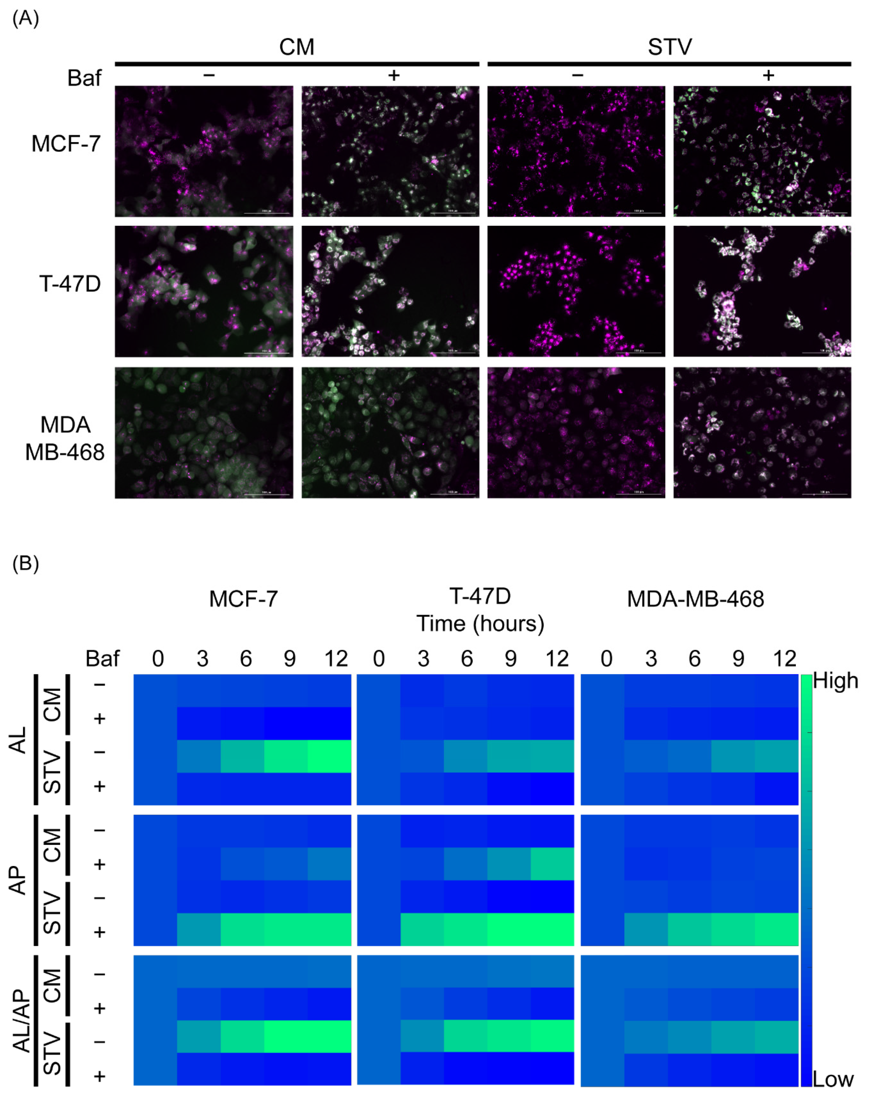 Metabolites 11 00637 g001 550