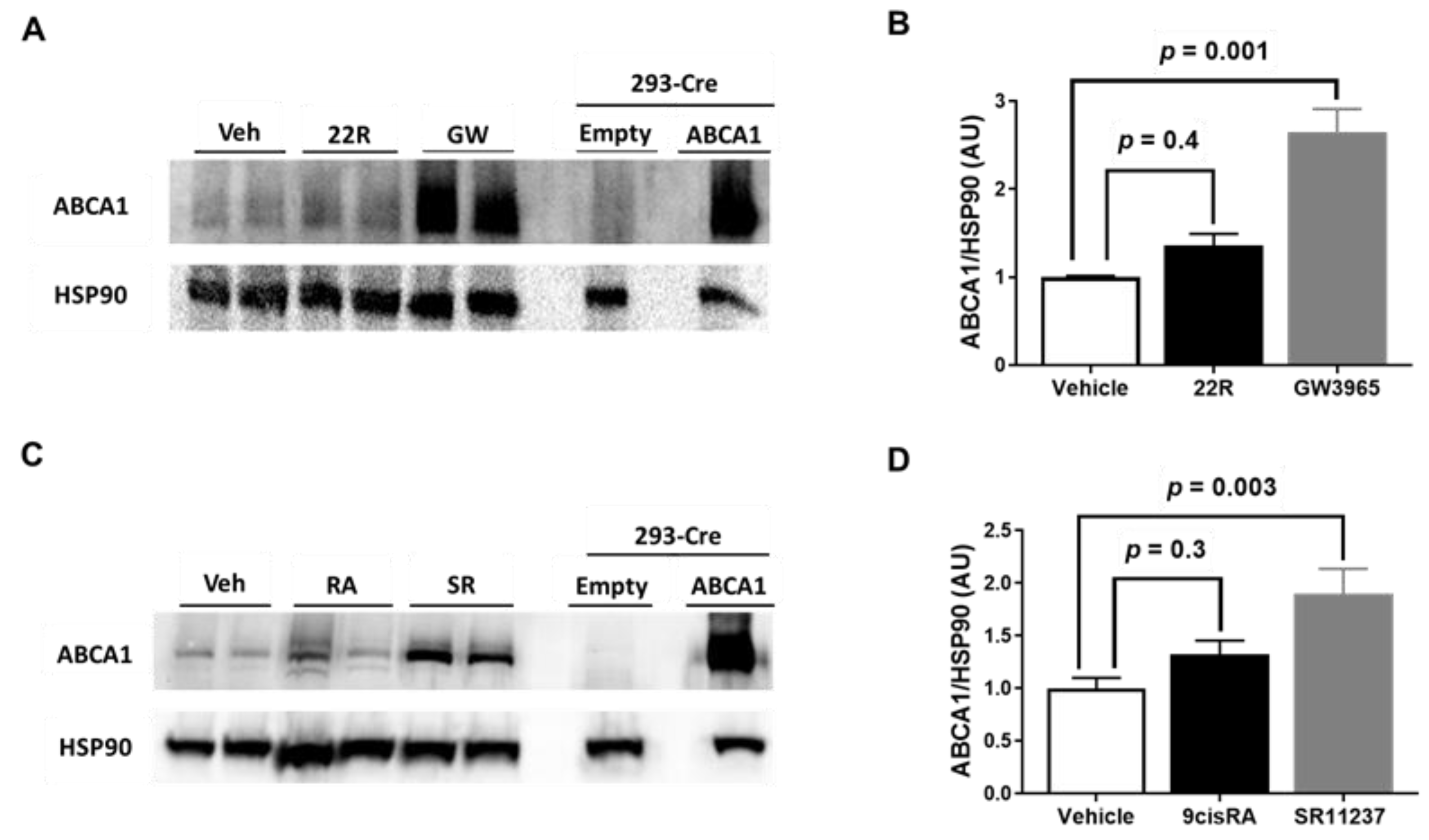 Metabolites 11 00640 g002 Metabolites 11 00640 g002