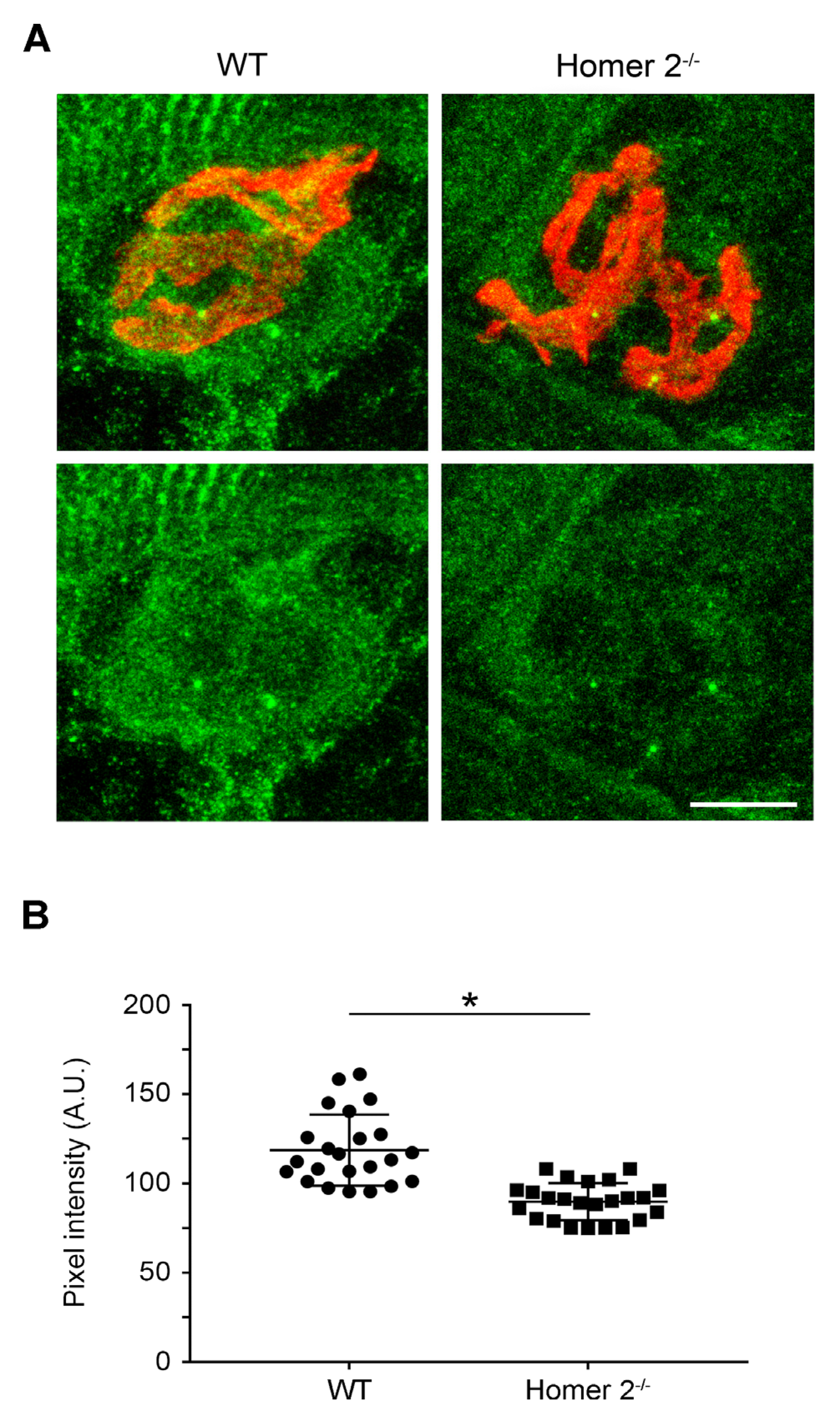 Metabolites 11 00642 g003 550