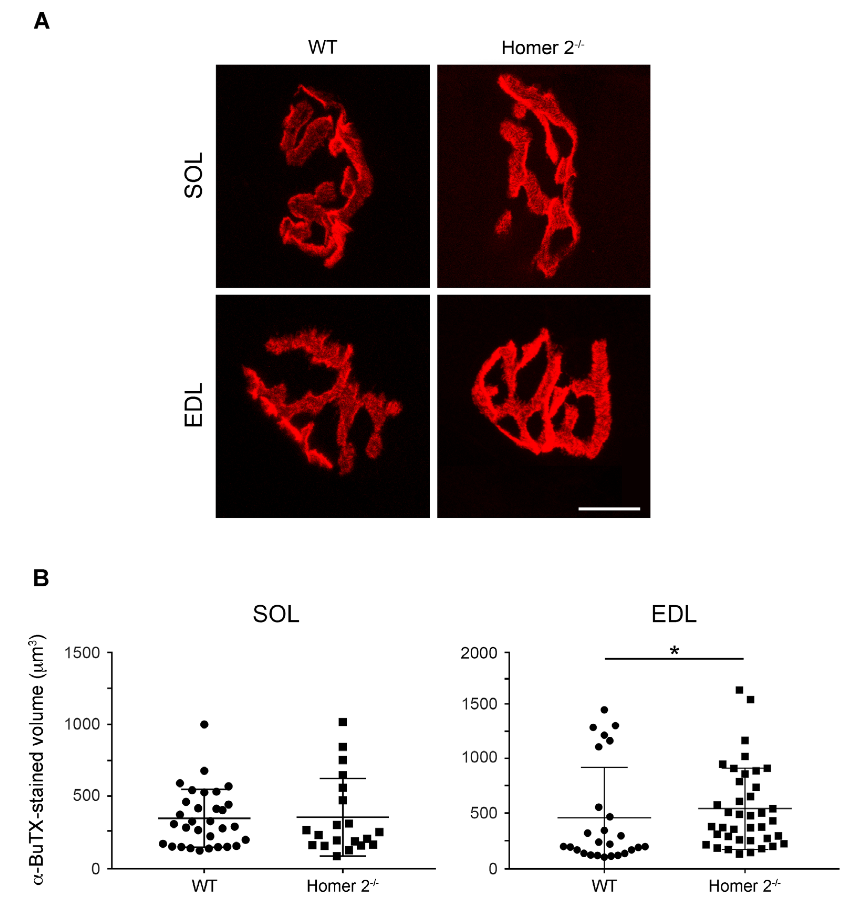 Metabolites 11 00642 g004 550