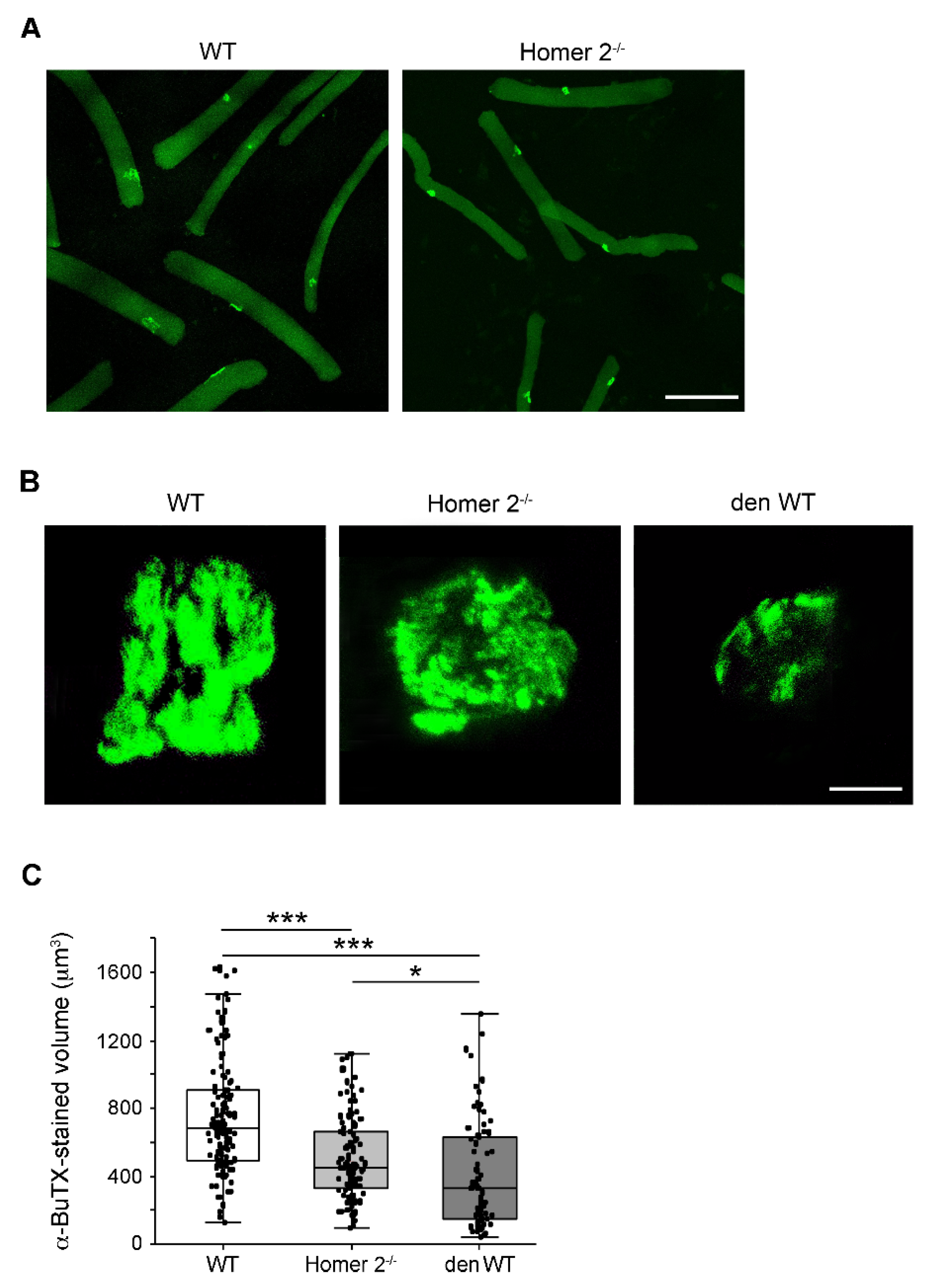 Metabolites 11 00642 g005 550