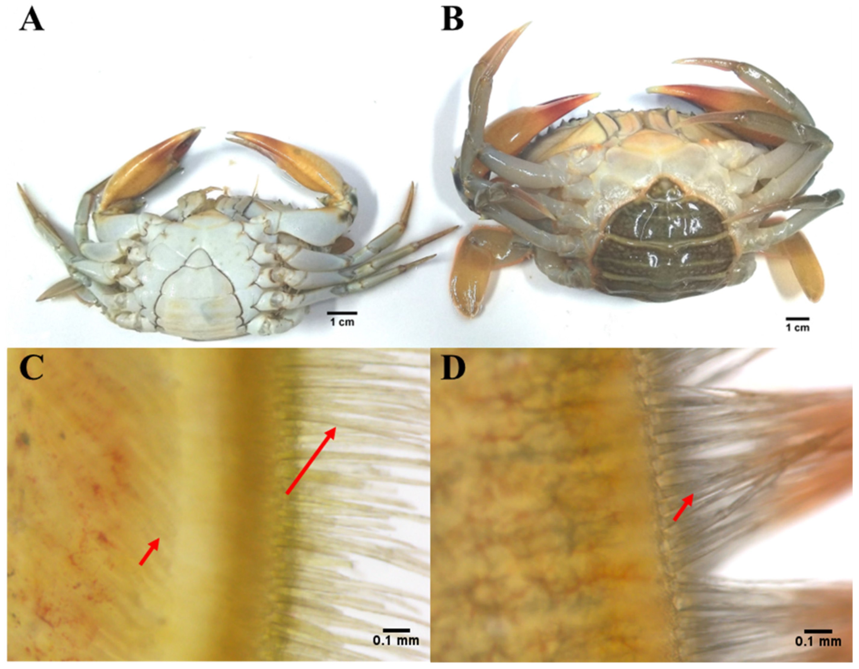 Metabolites 11 00651 g007 Metabolites 11 00651 g007