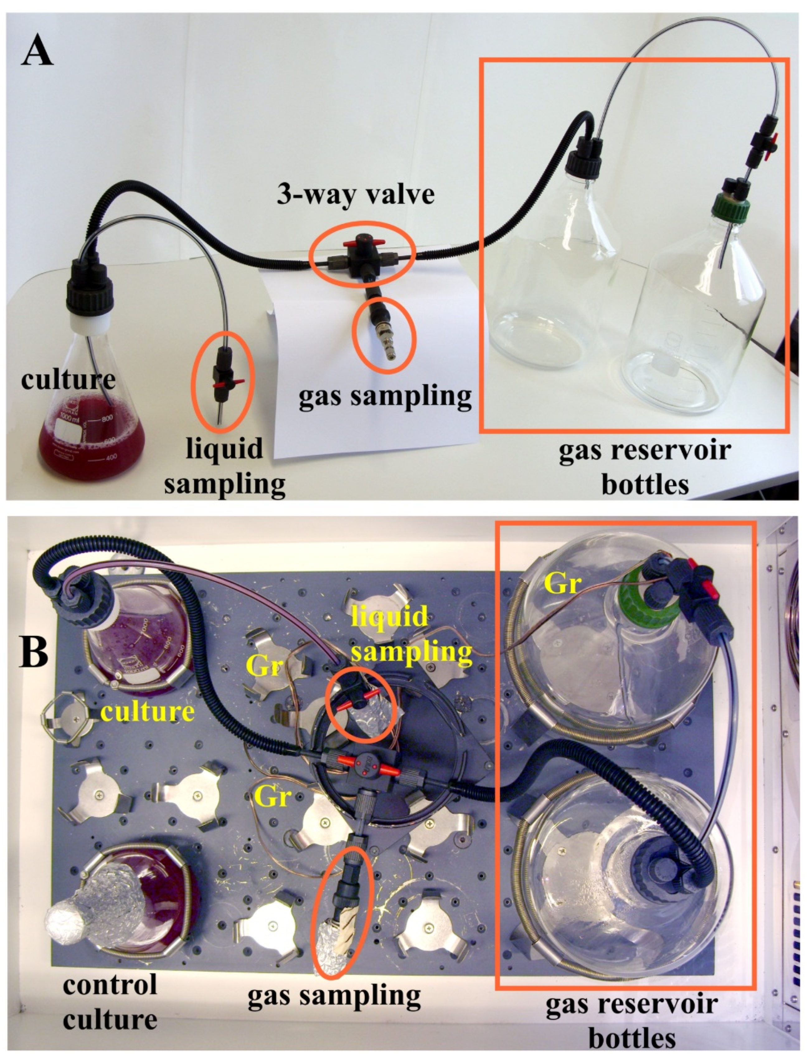 Metabolites 11 00667 g004 Metabolites 11 00667 g004