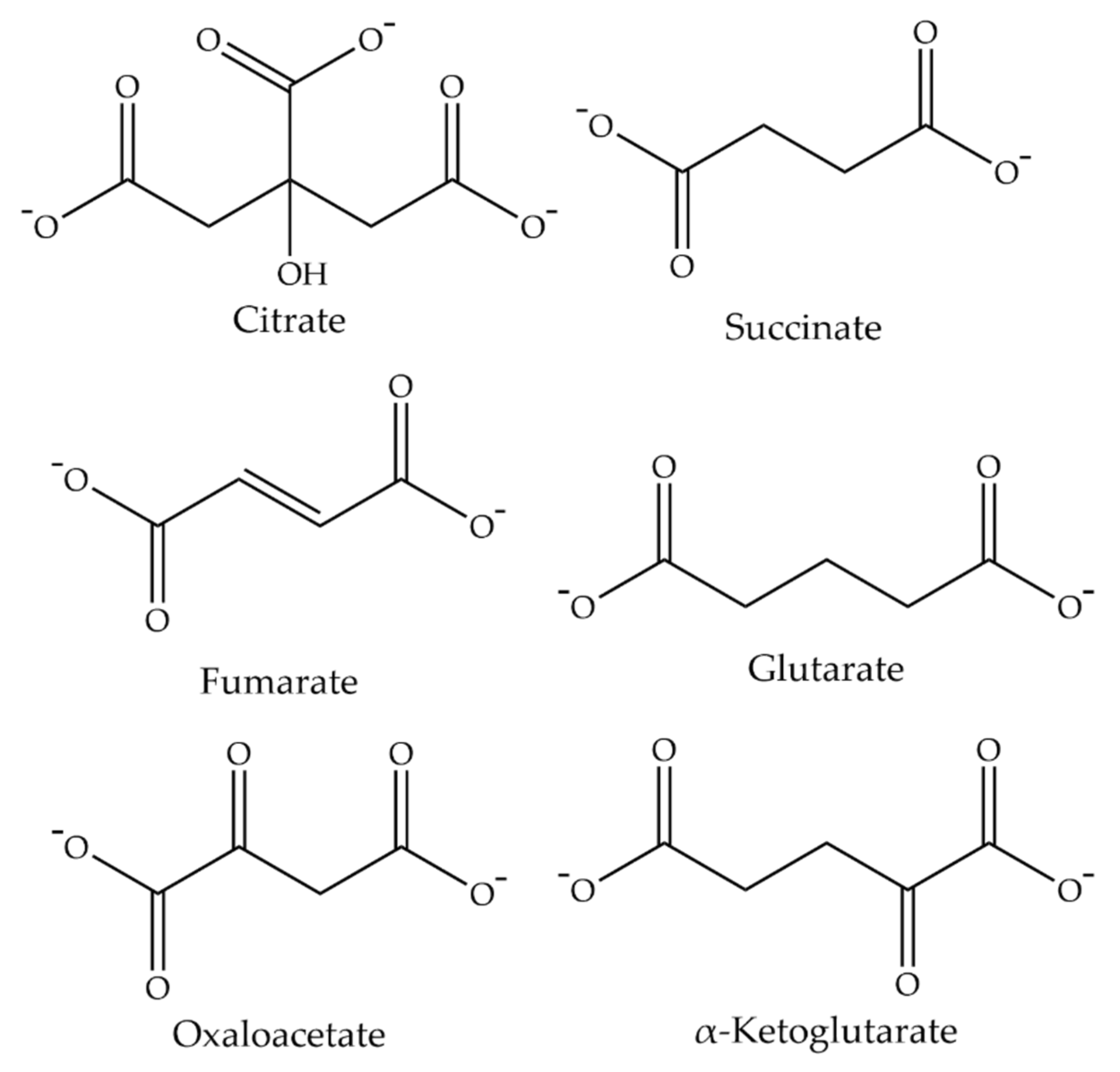Metabolites 11 00669 g002 Metabolites 11 00669 g002