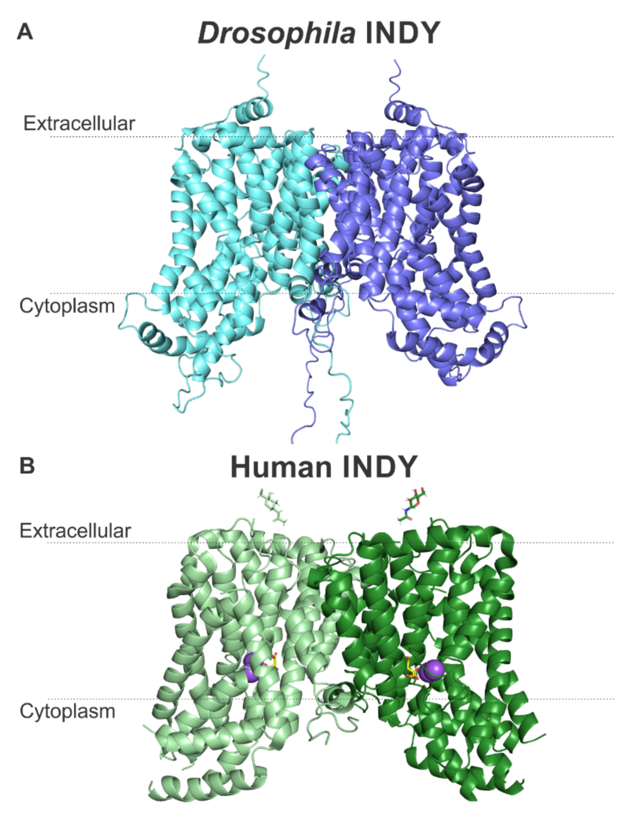 Metabolites 11 00669 g004 Metabolites 11 00669 g004