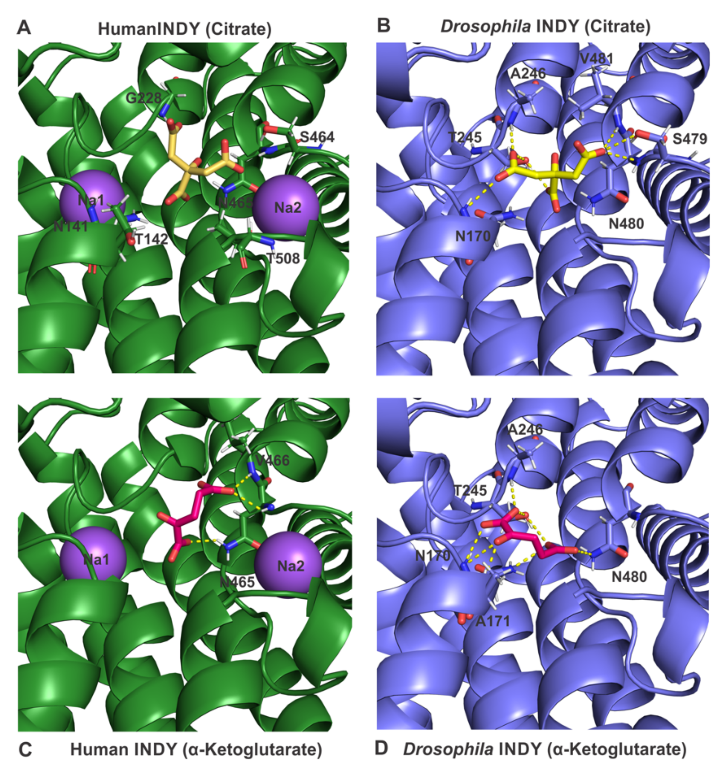 Metabolites 11 00669 g005 Metabolites 11 00669 g005