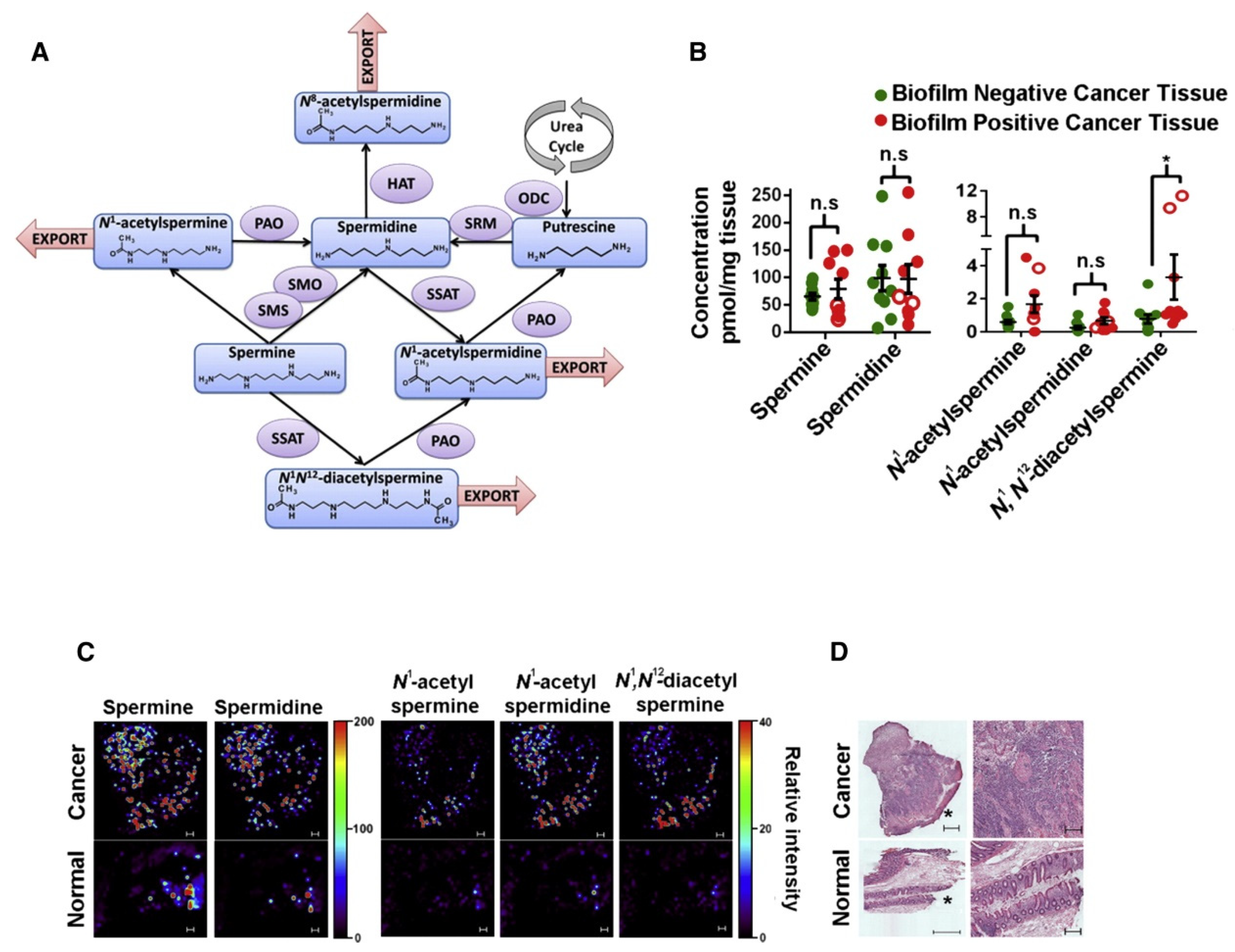 Metabolites 11 00672 g007