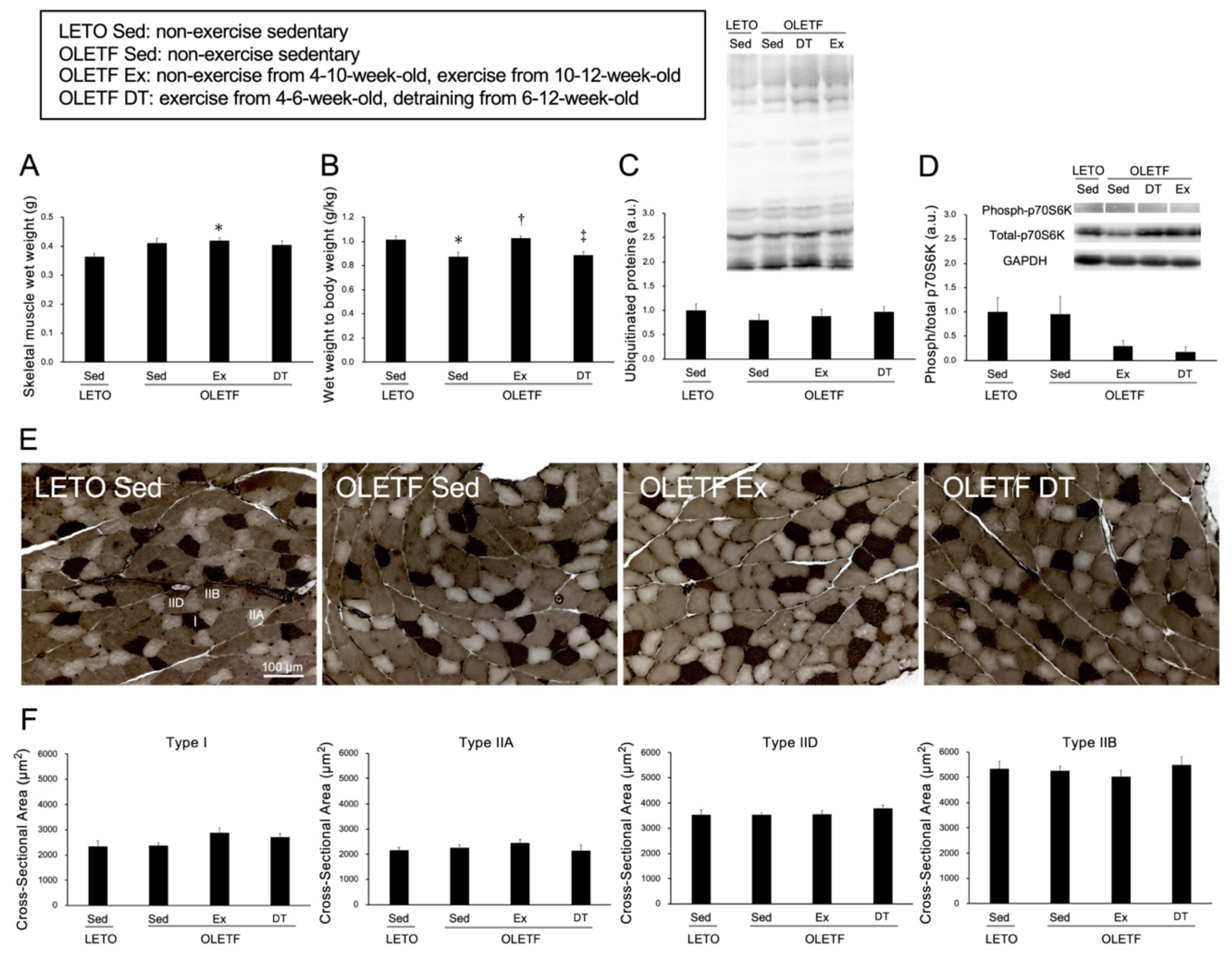 Metabolites 11 00677 g002 550