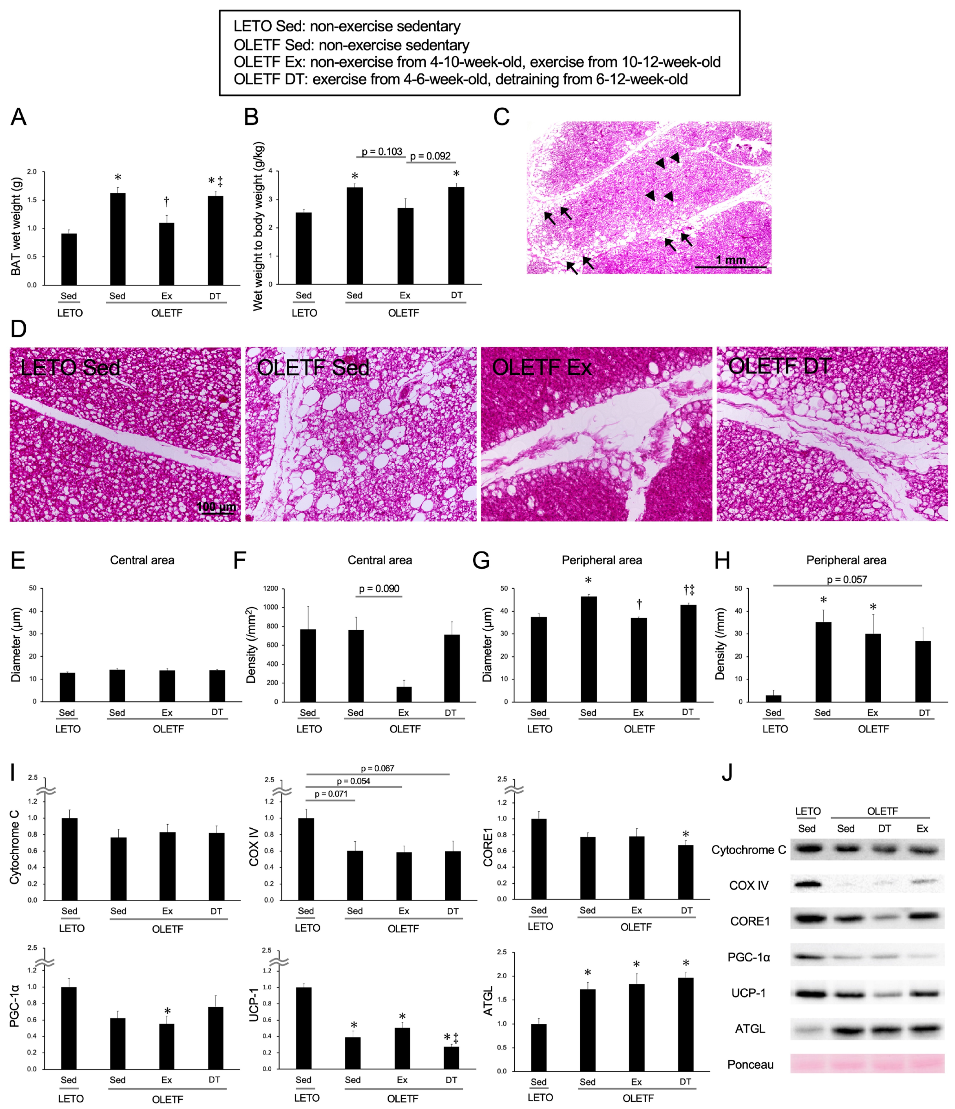 Metabolites 11 00677 g003 550