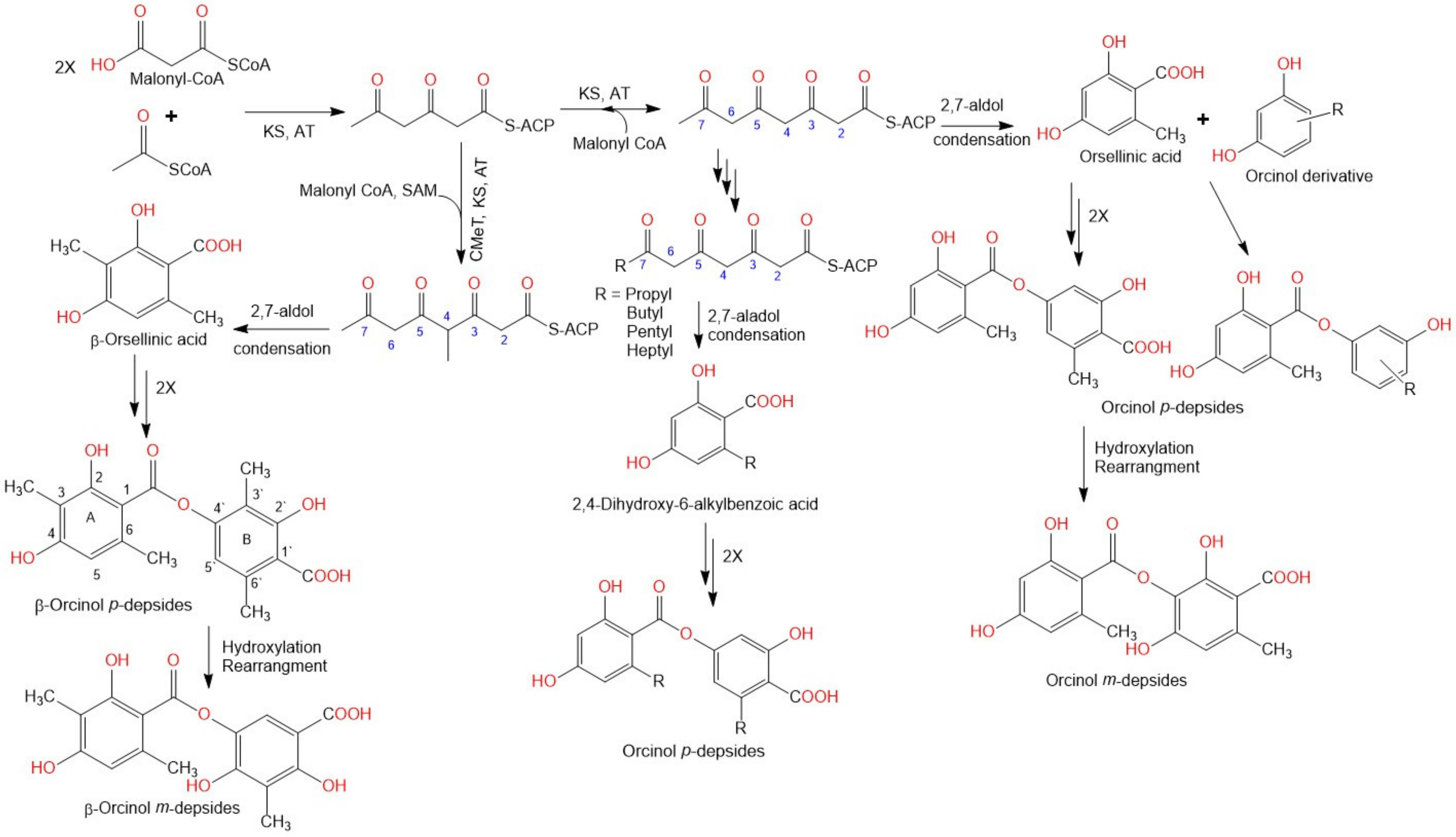 Metabolites 11 00683 g002