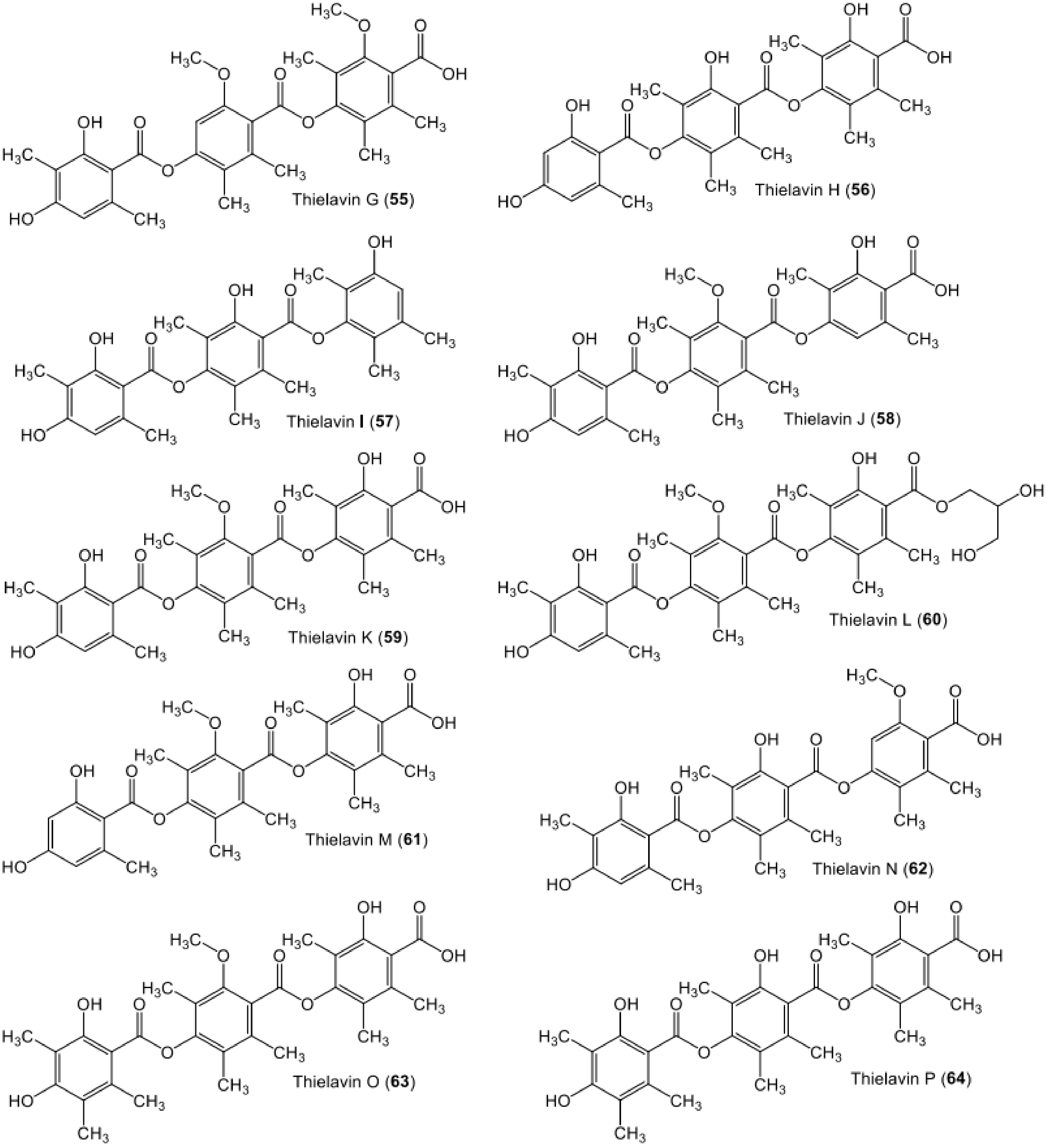 Metabolites 11 00683 g009