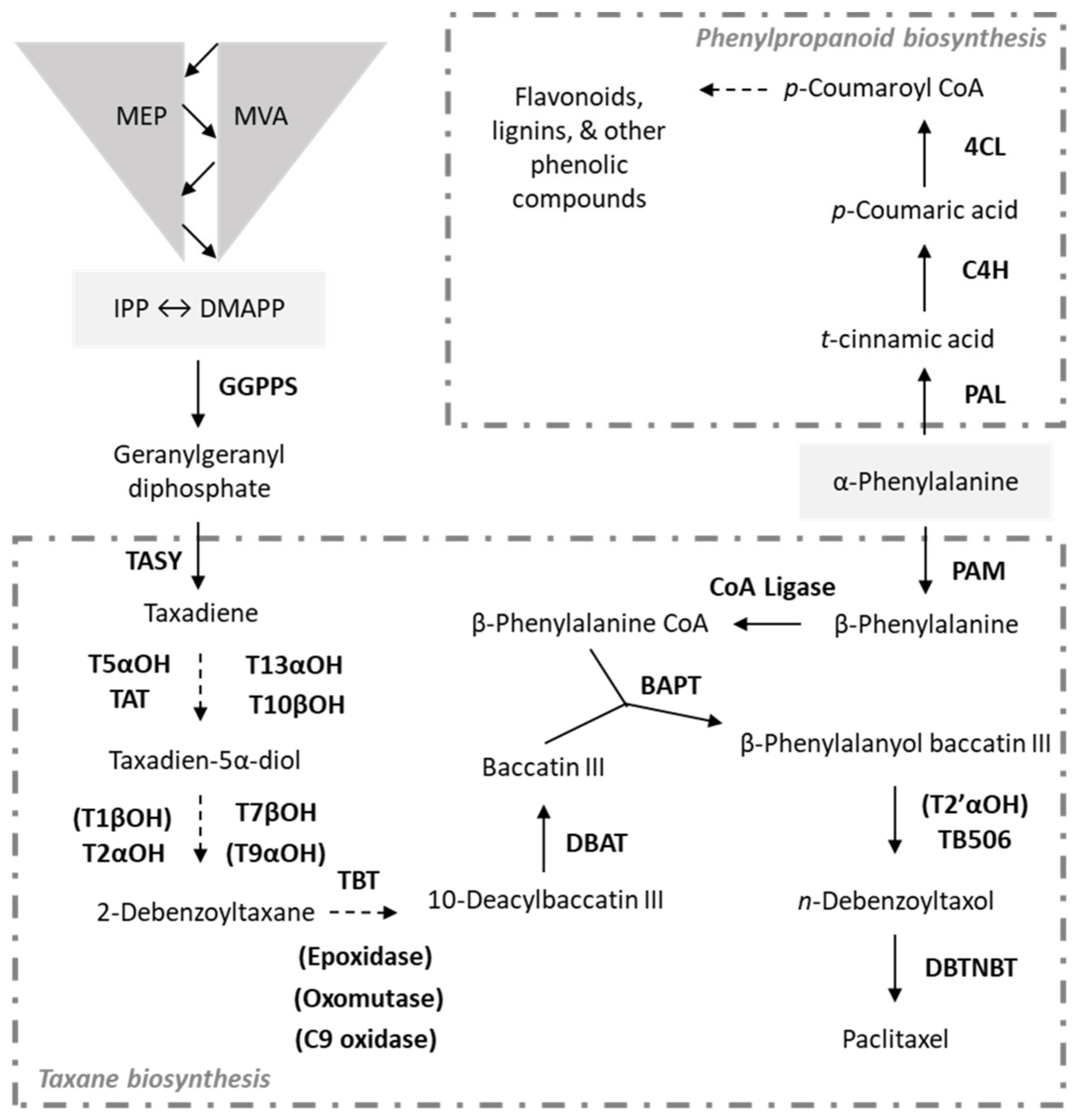 Metabolites 11 00688 g001 Metabolites 11 00688 g001