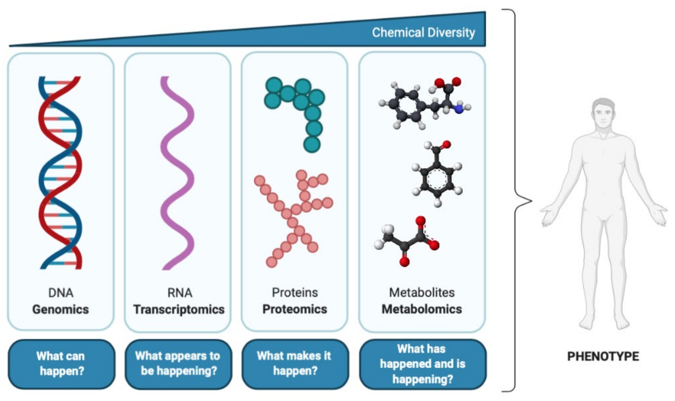 Metabolites 11 00692 g001 Metabolites 11 00692 g001