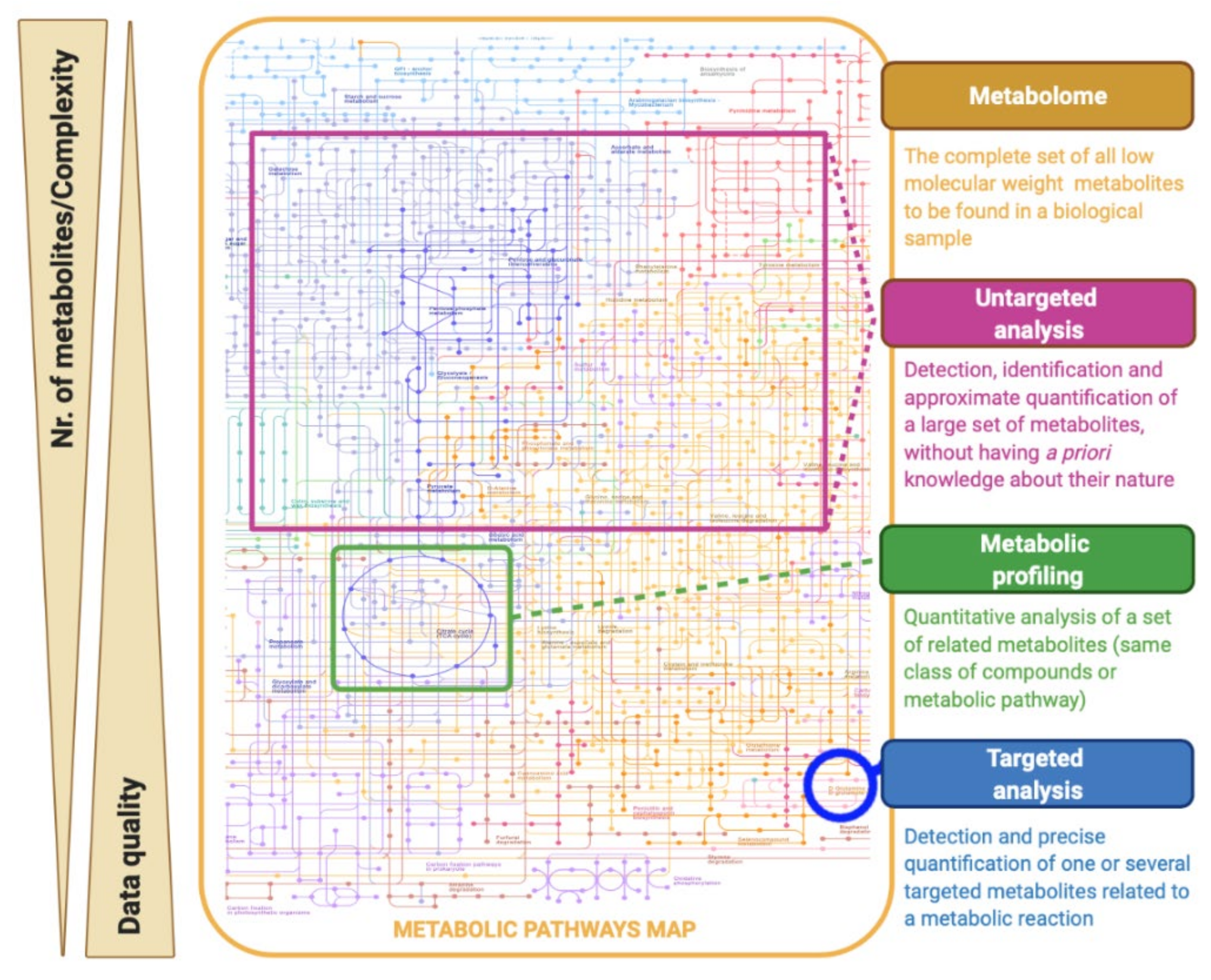 Metabolites 11 00692 g002 Metabolites 11 00692 g002