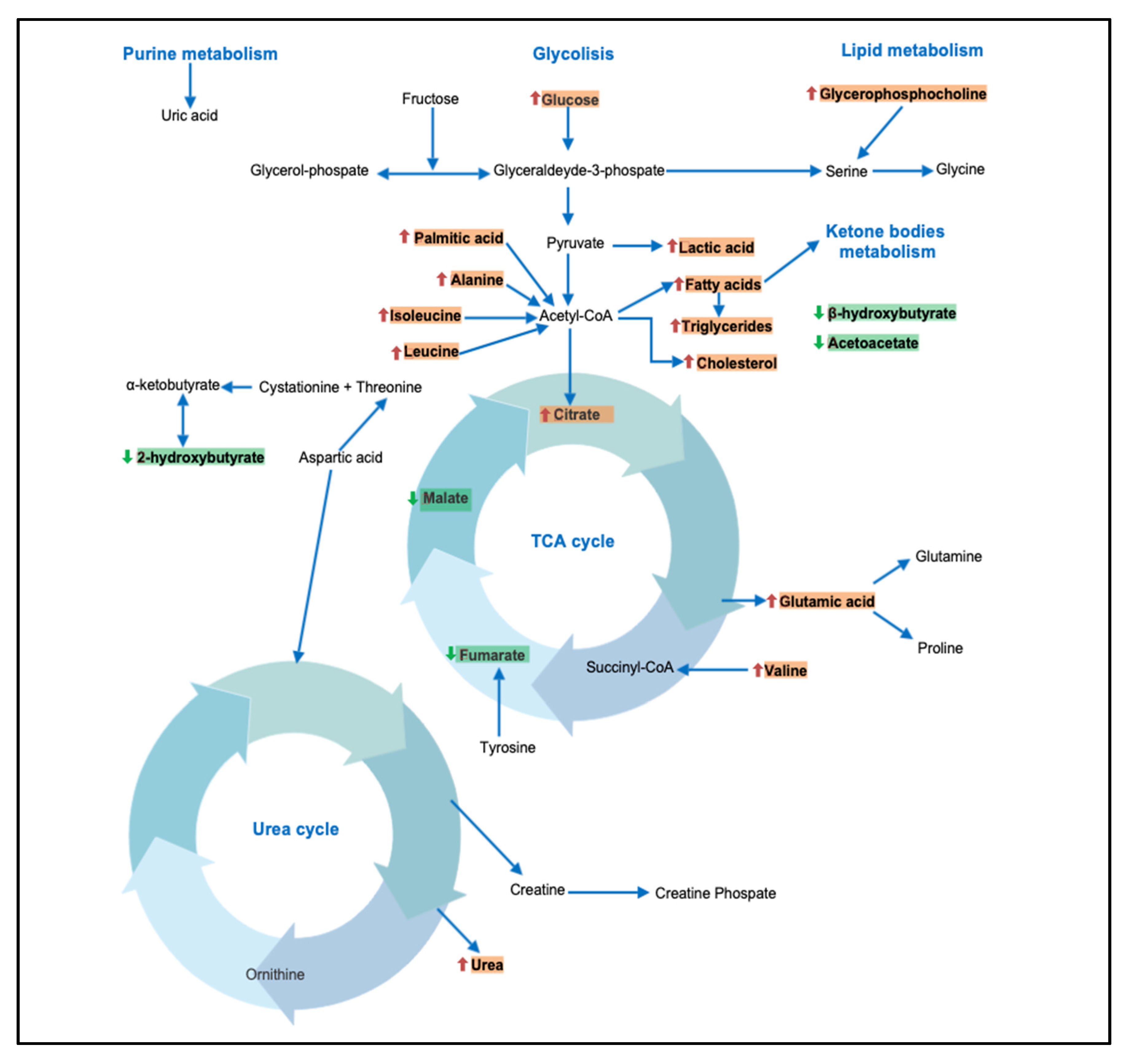 Metabolites 11 00694 g002