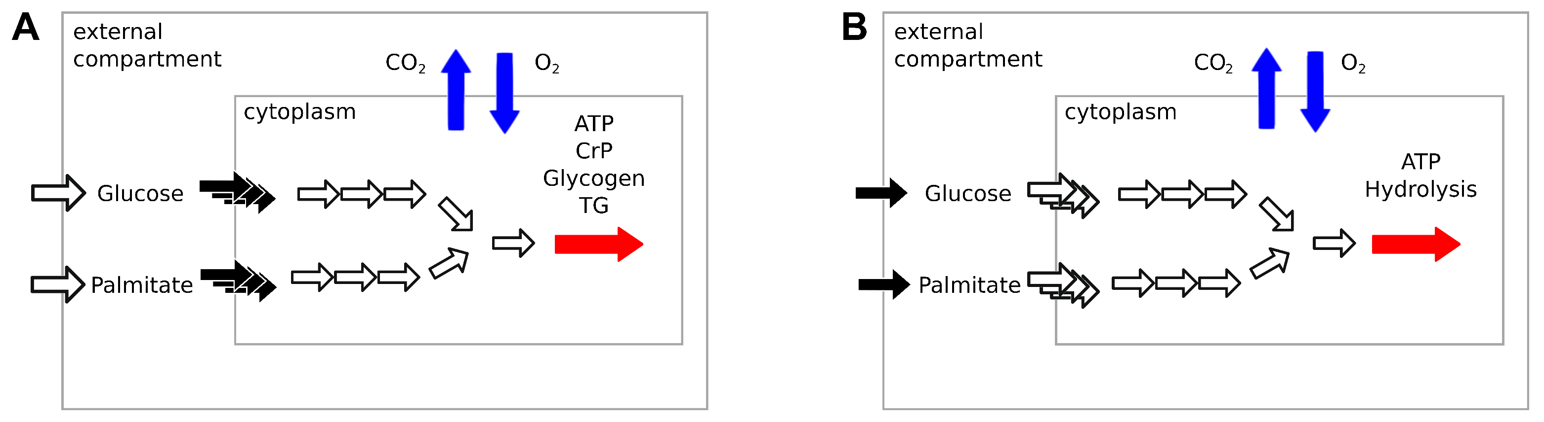 Metabolites 11 00695 g001 550